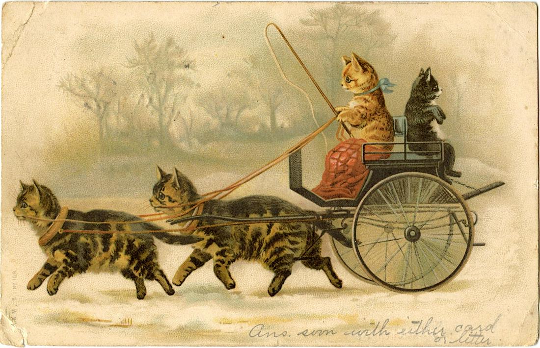 Antique Vintage Rare Postcard Kittens in Cart (1 of 2)