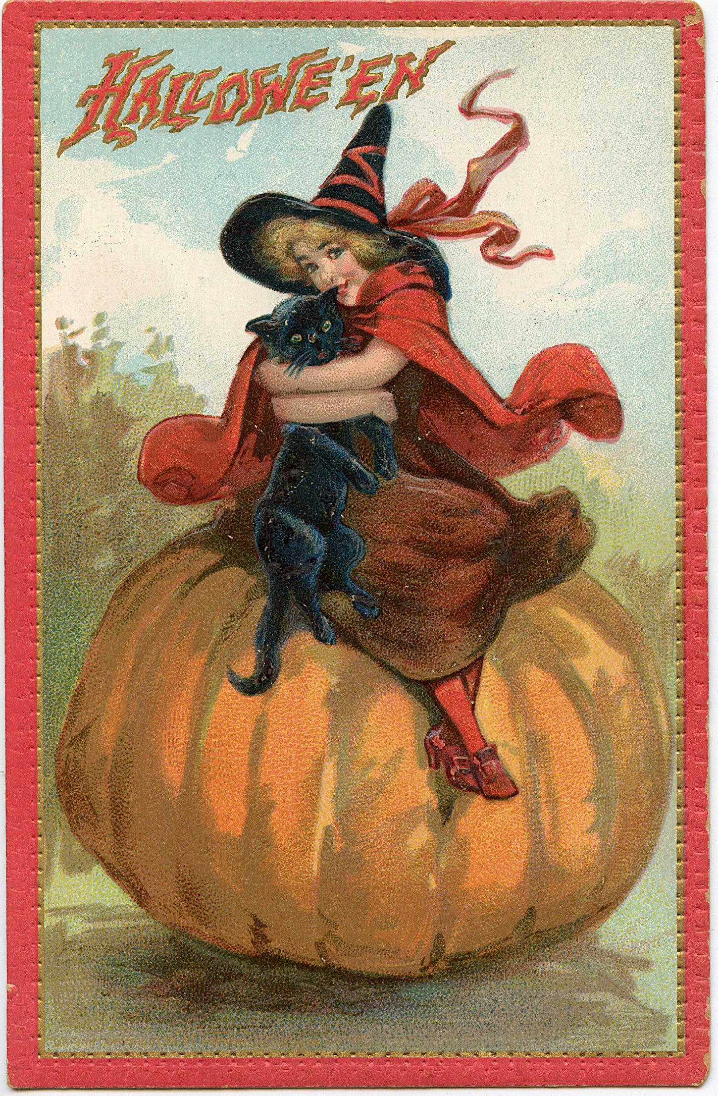 Antique Vintage Halloween Black Cat Postcard (1 of 2)