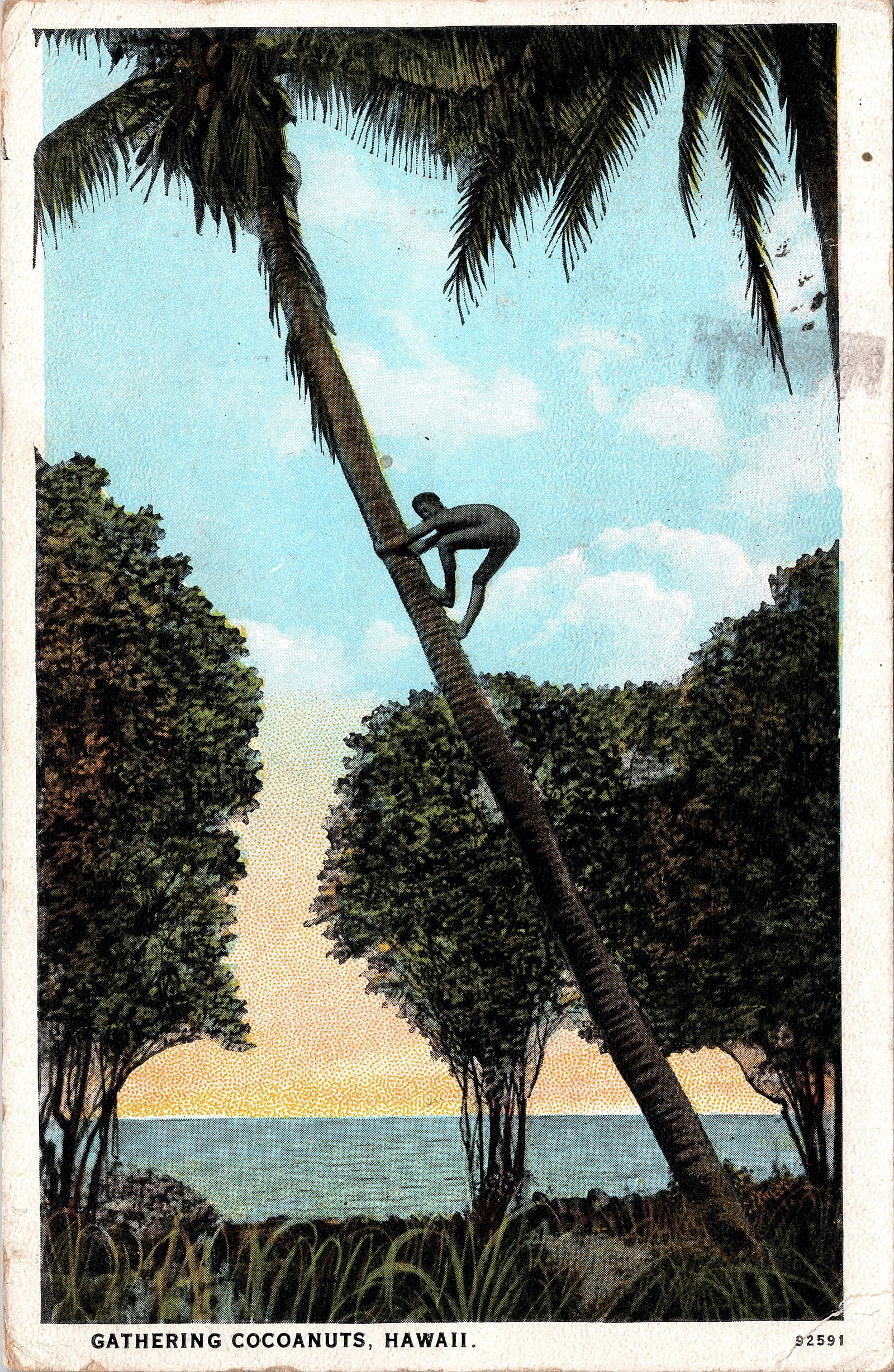 Antique Vintage Rare Postcard African American: The dimensions of an antique/vintage postcard are Approx. 5.5"x 3.5" (small variances can occur). ABOUT SHIPPING: This lot is located in Boca Raton, Fl and its shipment will be made directly by Arteli