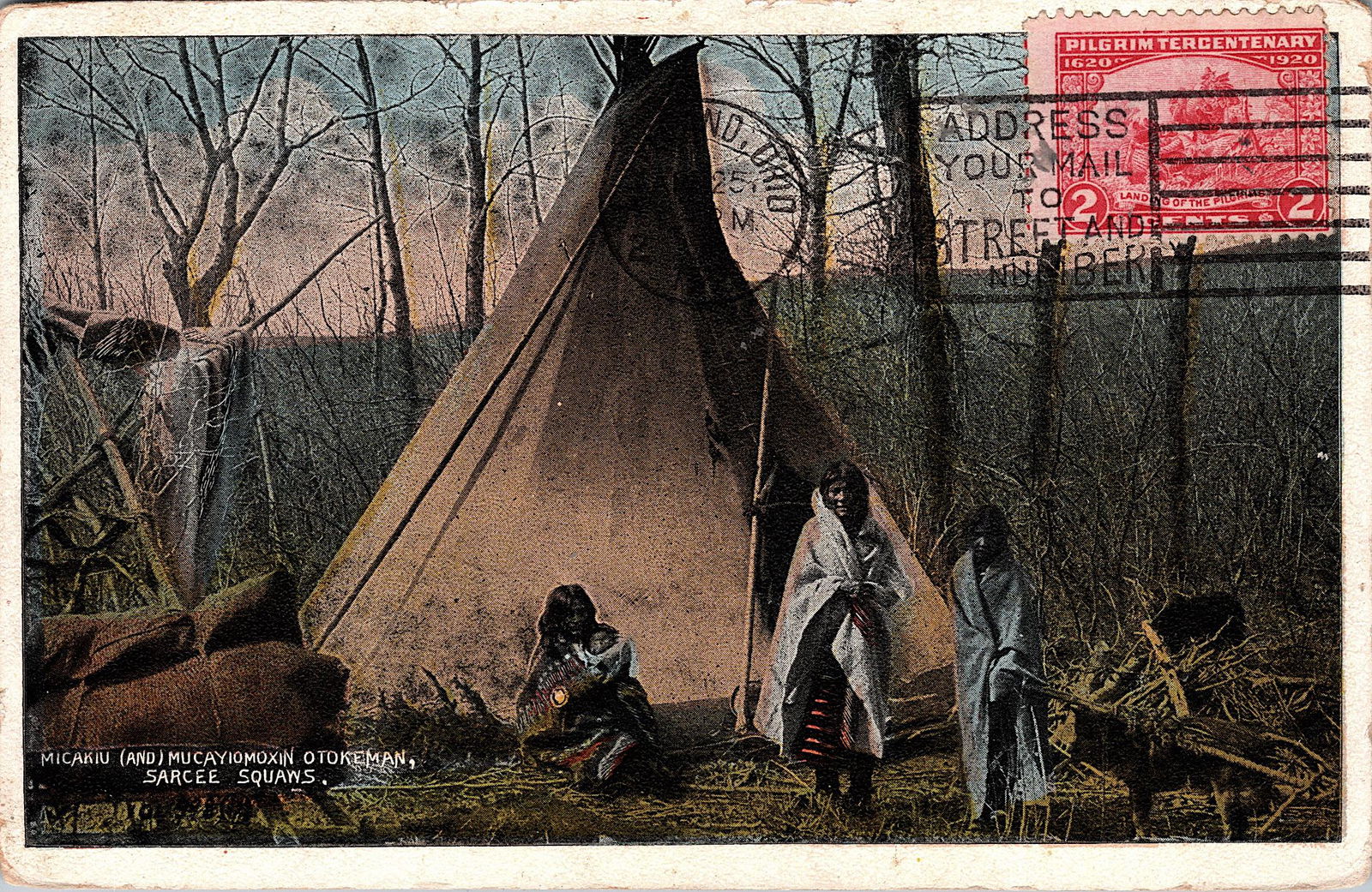 Antique Rare Vintage Postcard American Indians Natives (1 of 2)
