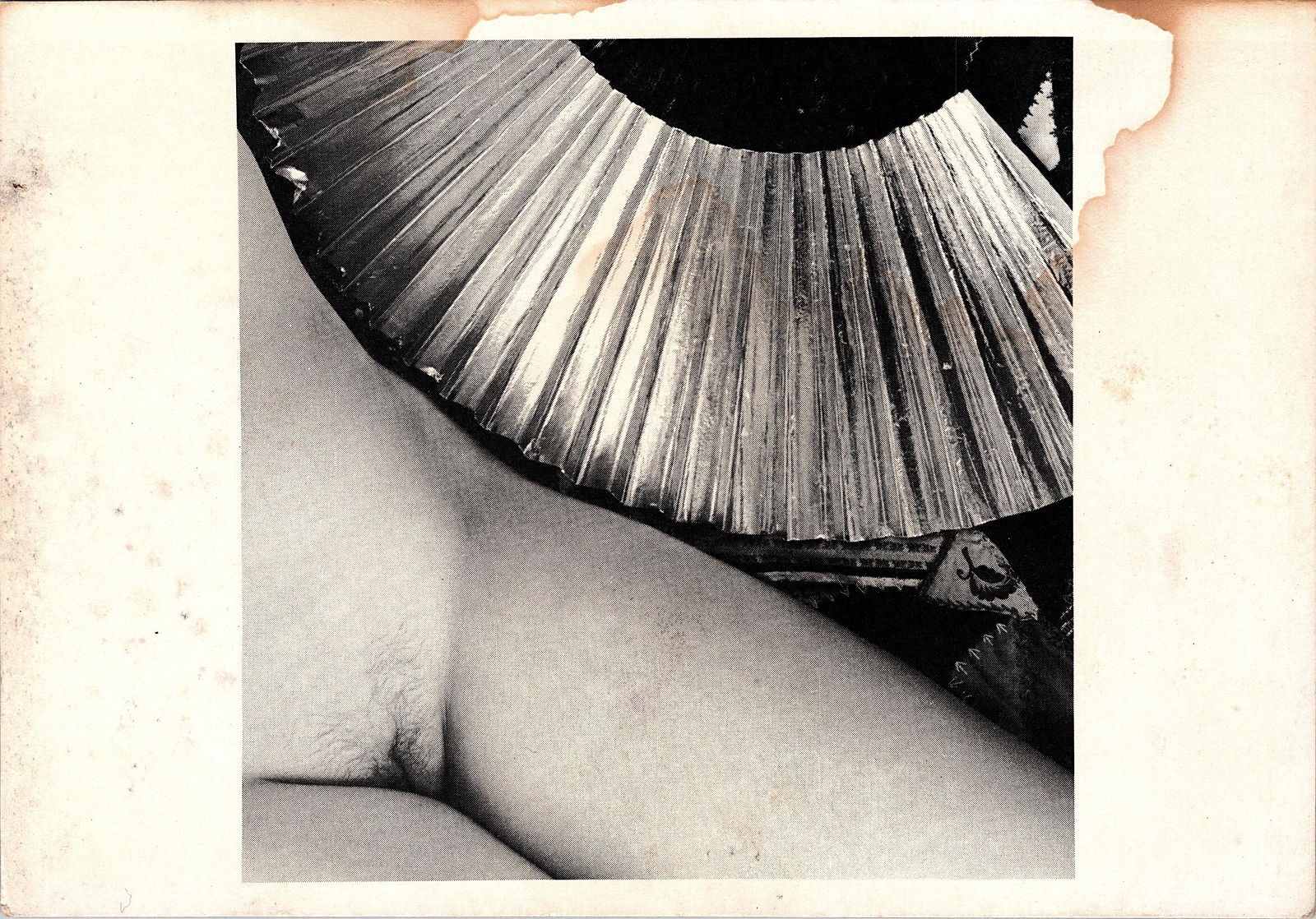 Vintage Female Erotic Nude Litho Postcard SANDI FELLMAN, 1979: The dimensions are Approx. 4" x 6". This lot is located in Boca Raton, Fl and its shipment will be made directly by Artelisted. Shipping insurance is the responsibility of the buyer. Ask us if you wan