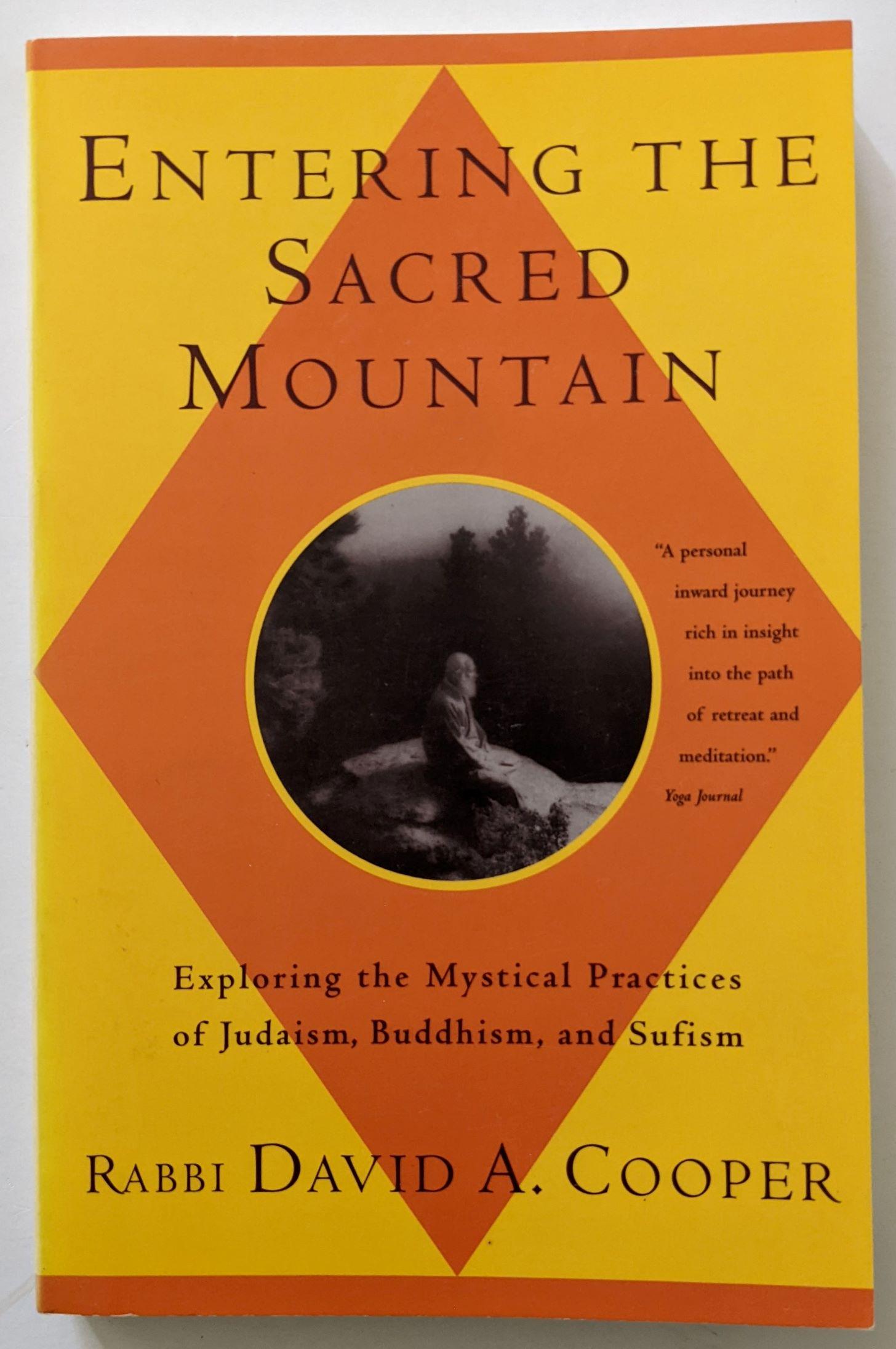 Book Entering The Sacred Mountain by RABBU DAVID A. COOPER (1 of 3)