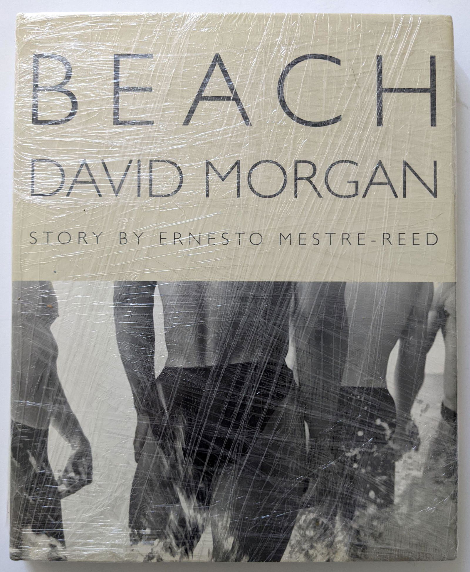 Book "Beach" by DAVID MORGAN (1 of 2)