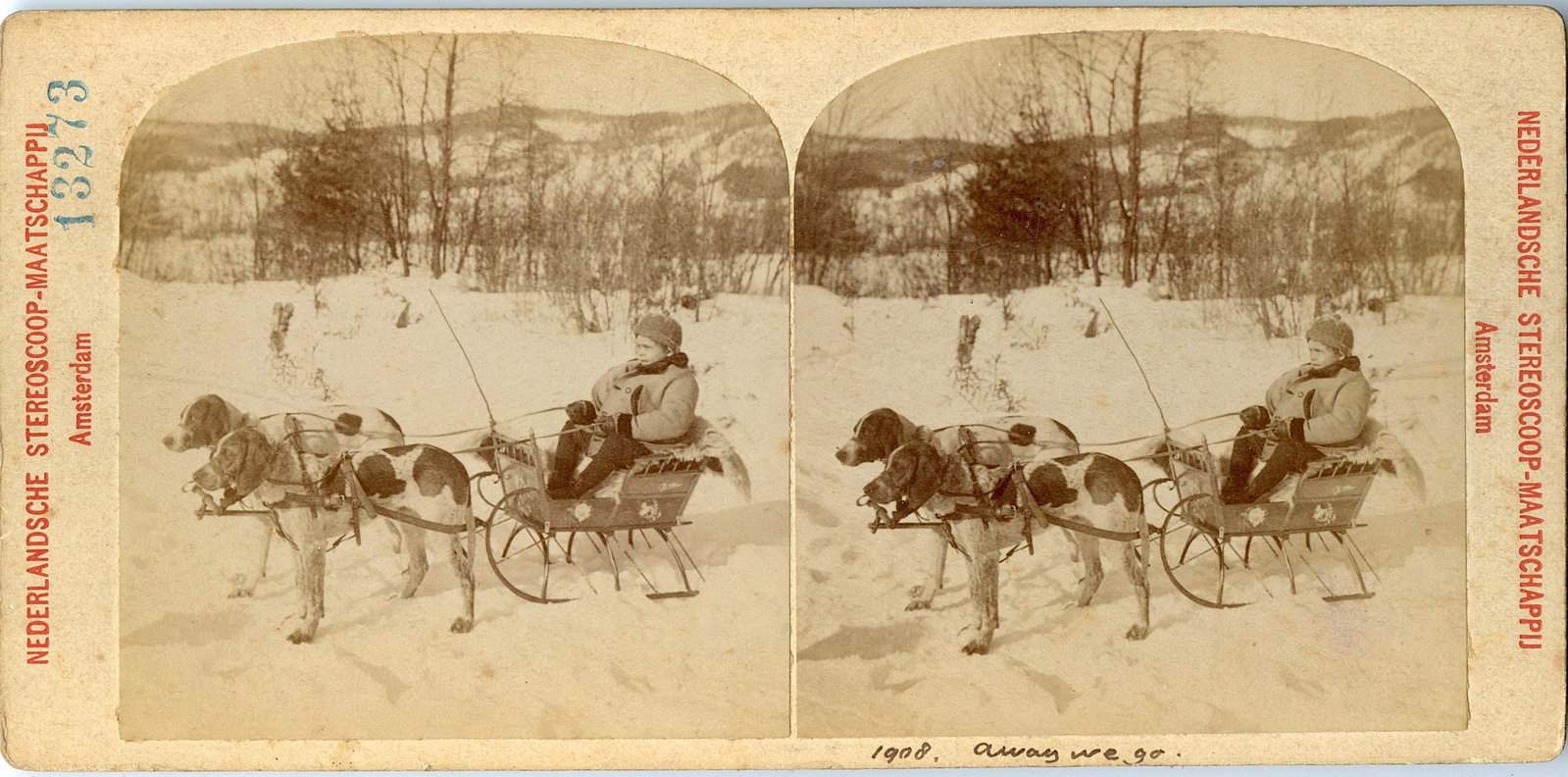Antique Real Photo Stereoview Dog Cart, 1908: This collection of stereoviews are originals from the epoch . They come mainly from collectors in the U.S.A. and constitute wonderful testimonies of past time that tend to be unique. Their scarcity, c