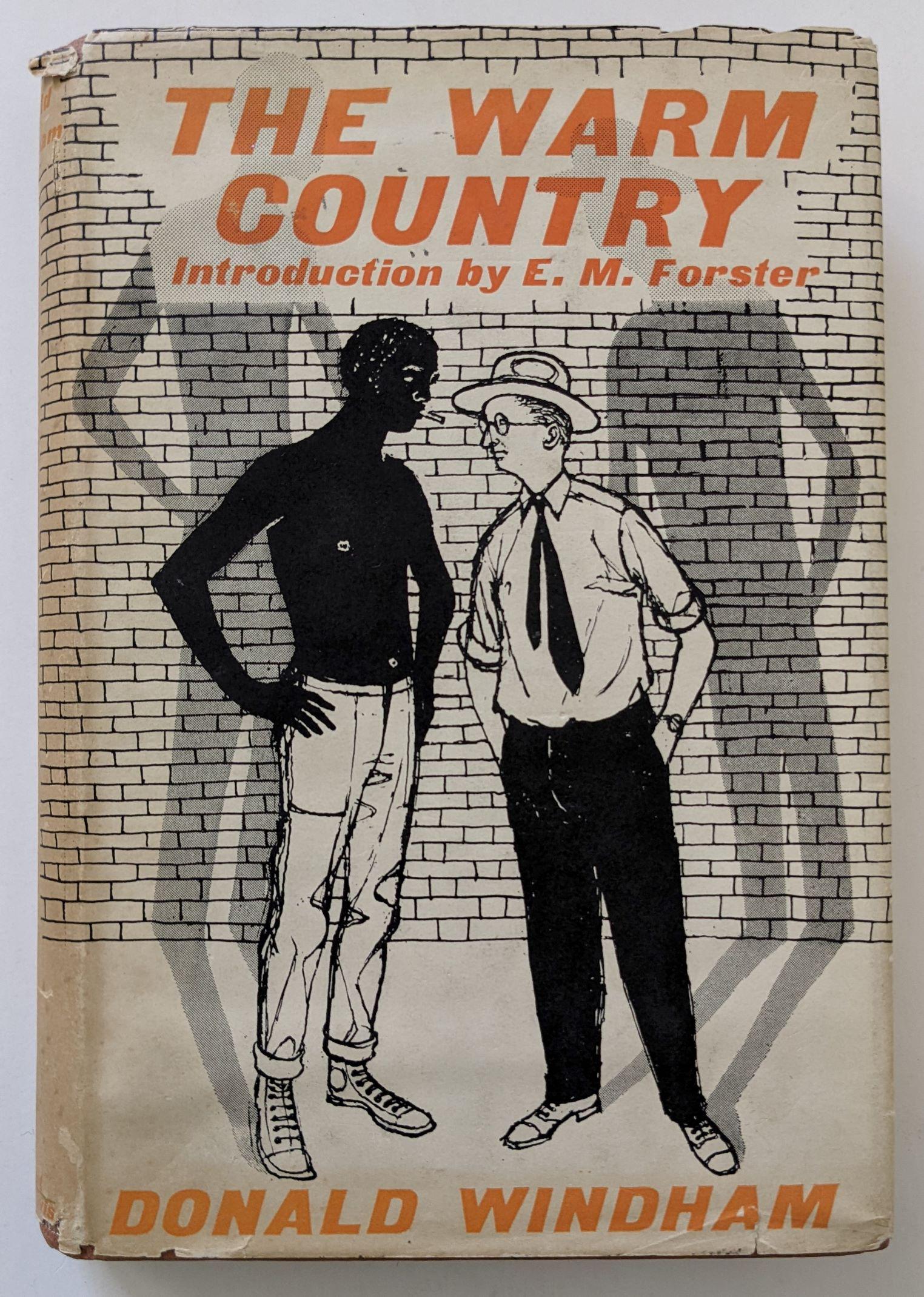 Novel The Warm Country by DONALD WINDHAM, 1st Ed (1 of 3)