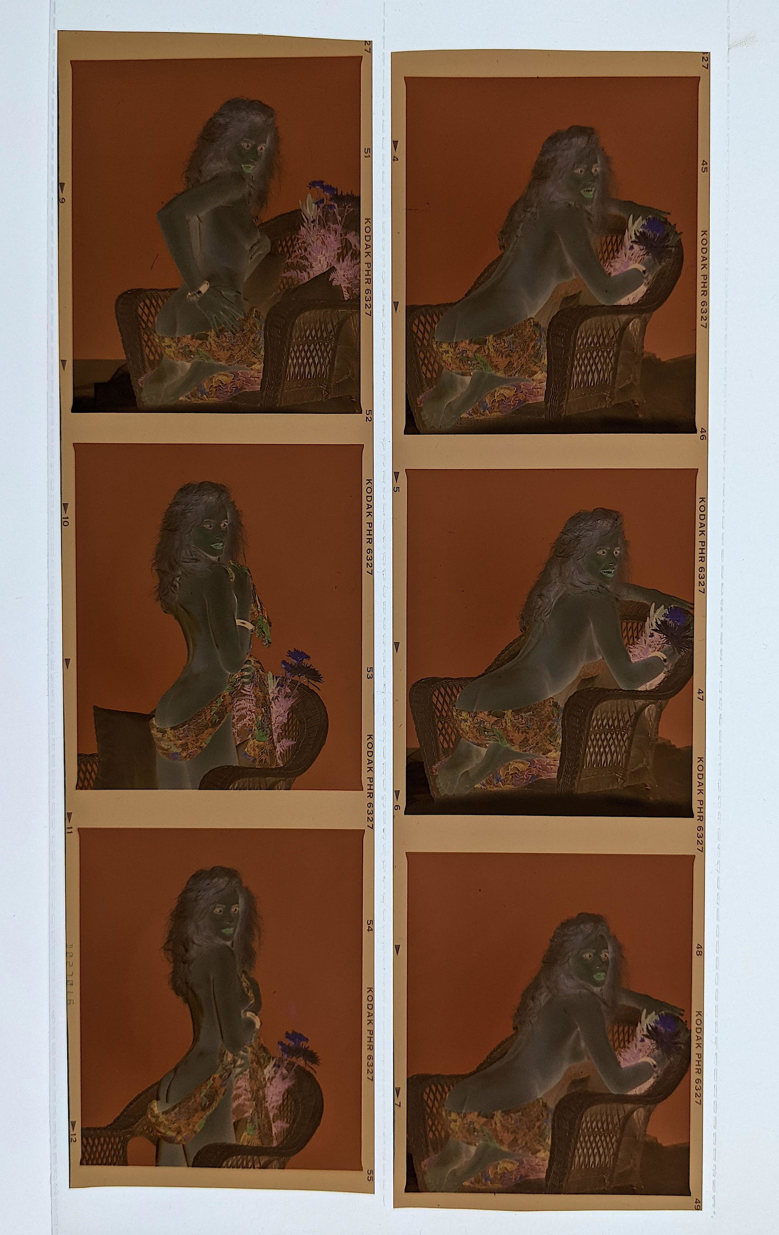 6 Negative Photos Pin Up Risque Sharise (1 of 2)