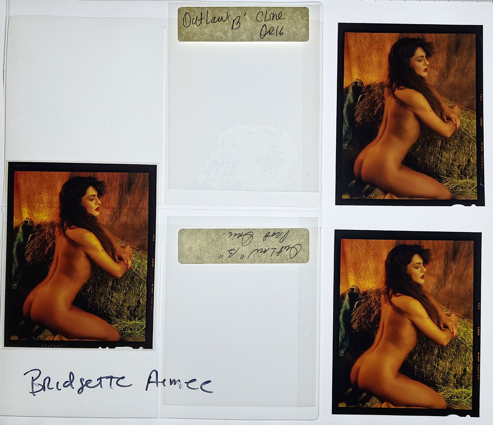 3 Positive Photos Pin Up Risque Bridgette Aimee (1 of 1)