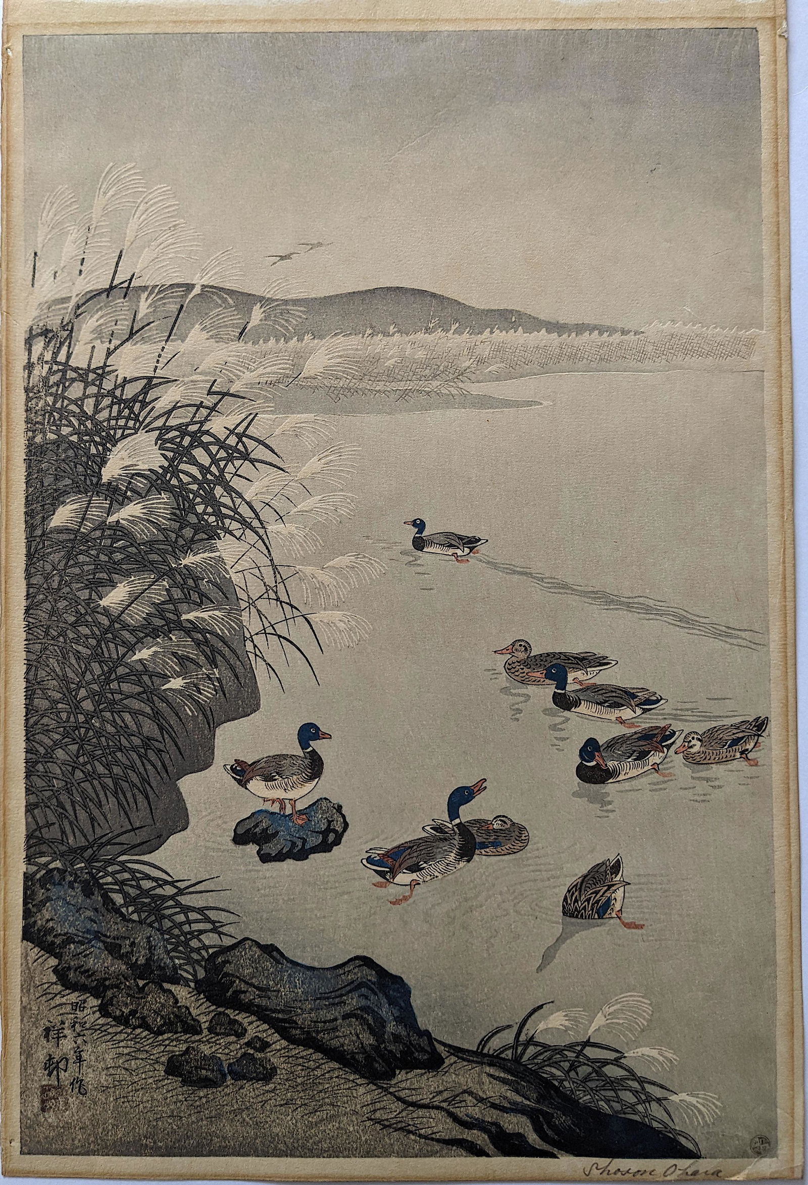 Vintage Ohara Koson Wild Ducks and Pampas Grass (1 of 4)