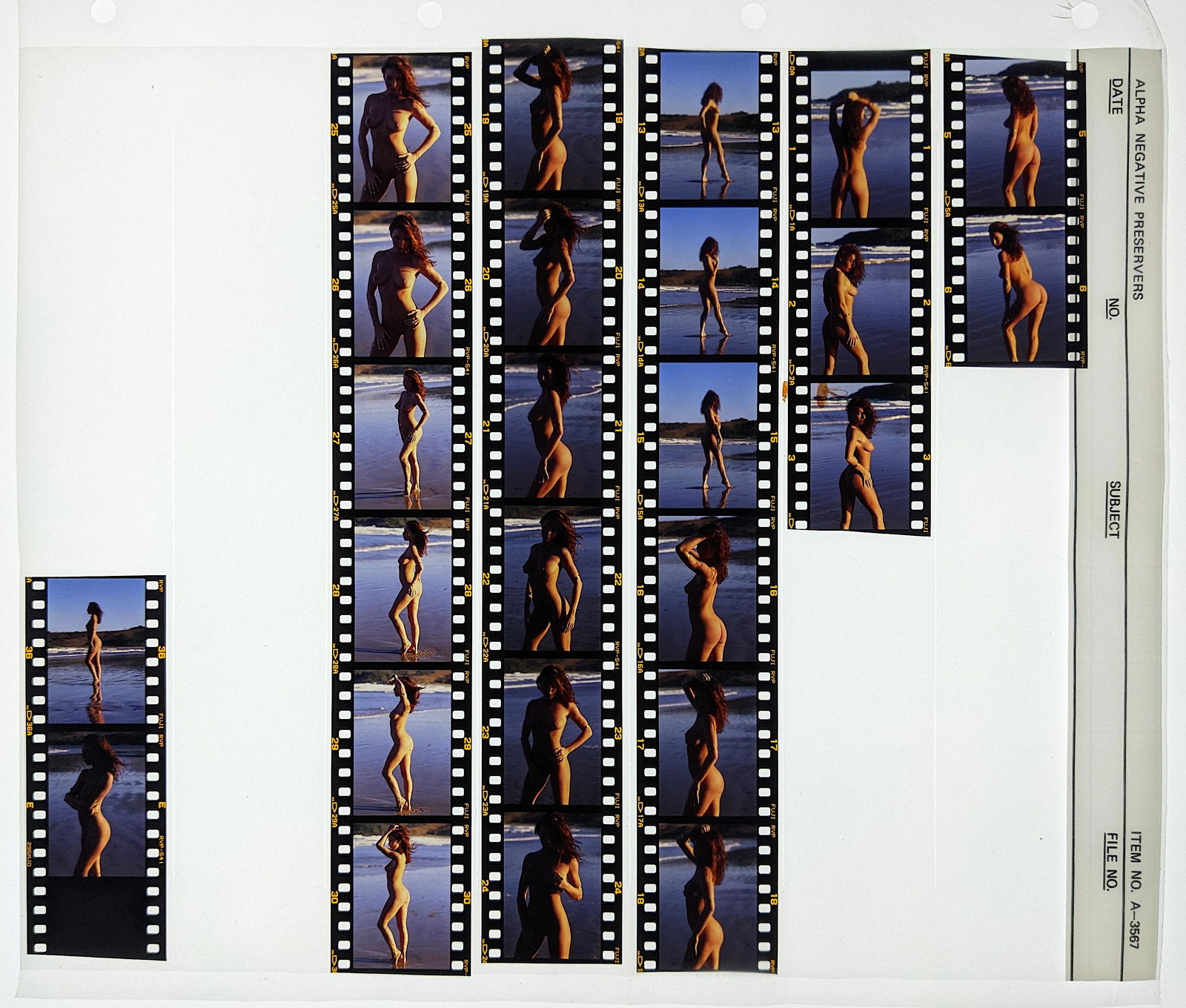 Group 35mm Positives Pin Up Nude Female Model: This collection is coming from a Professional American photographer and collector during the last 30 years in LA, CA. He asked as to do not mention his name. His collection includes many original posi