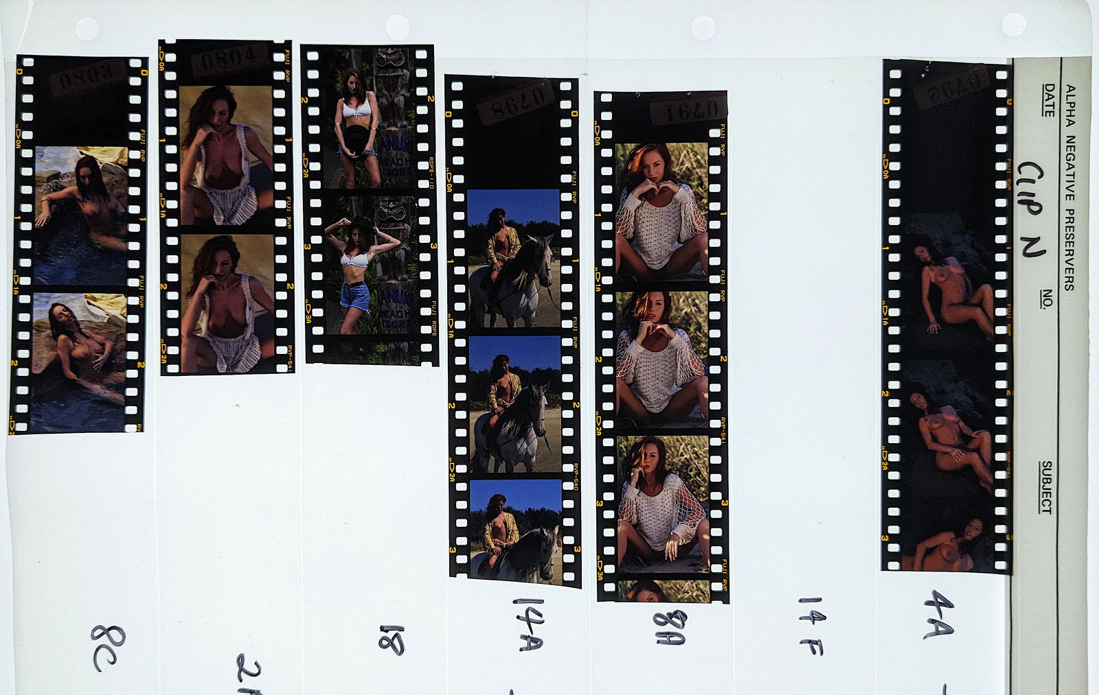 Group 35mm Positives Pin Up Nude Female Model: This collection is coming from a Professional American photographer and collector during the last 30 years in LA, CA. He asked as to do not mention his name. His collection includes many original posi