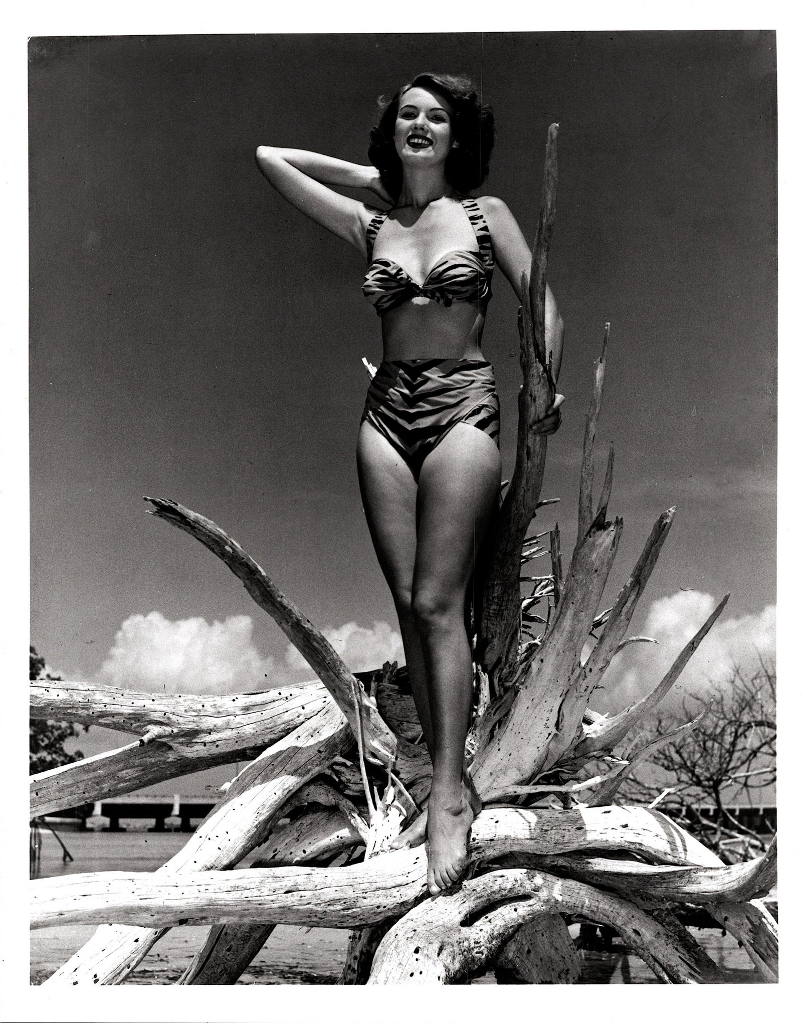 Vintage Real Photo Pin Up Female Archives Bunny Yeager: This lot is coming from Bunny Yeager's estate/archives. Linnea Eleanor "Bunny" Yeager (March 13, 1929 - May 24, 2014) was an American photographer and pin-up model. She met Bettie Page in 1954, and to