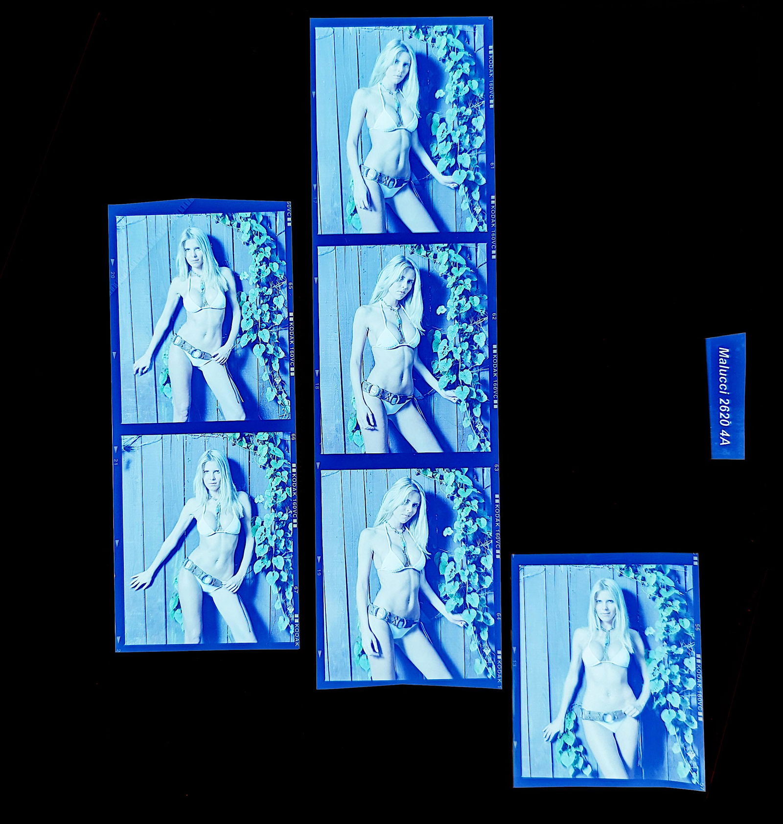 Set Pin Up Negatives Professional Photographer / Model: The films offered in this sale include photographies by Jim Malucci, Nino Munoz and Nouveau between others. The dimensions of each negative is Approx. 3" x 2.5".The provenance of this lot is from the