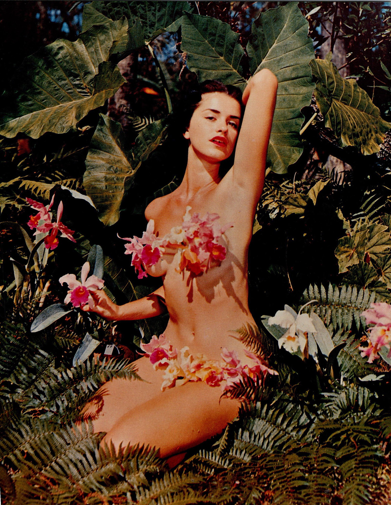 Vintage Photo BUNNY YEAGER Historical American Pin UP: This lot is coming from Bunny Yeager's estate/archives. Linnea Eleanor "Bunny" Yeager (March 13, 1929 - May 24, 2014) was an American photographer and pin-up model. She met Bettie Page in 1954, and to
