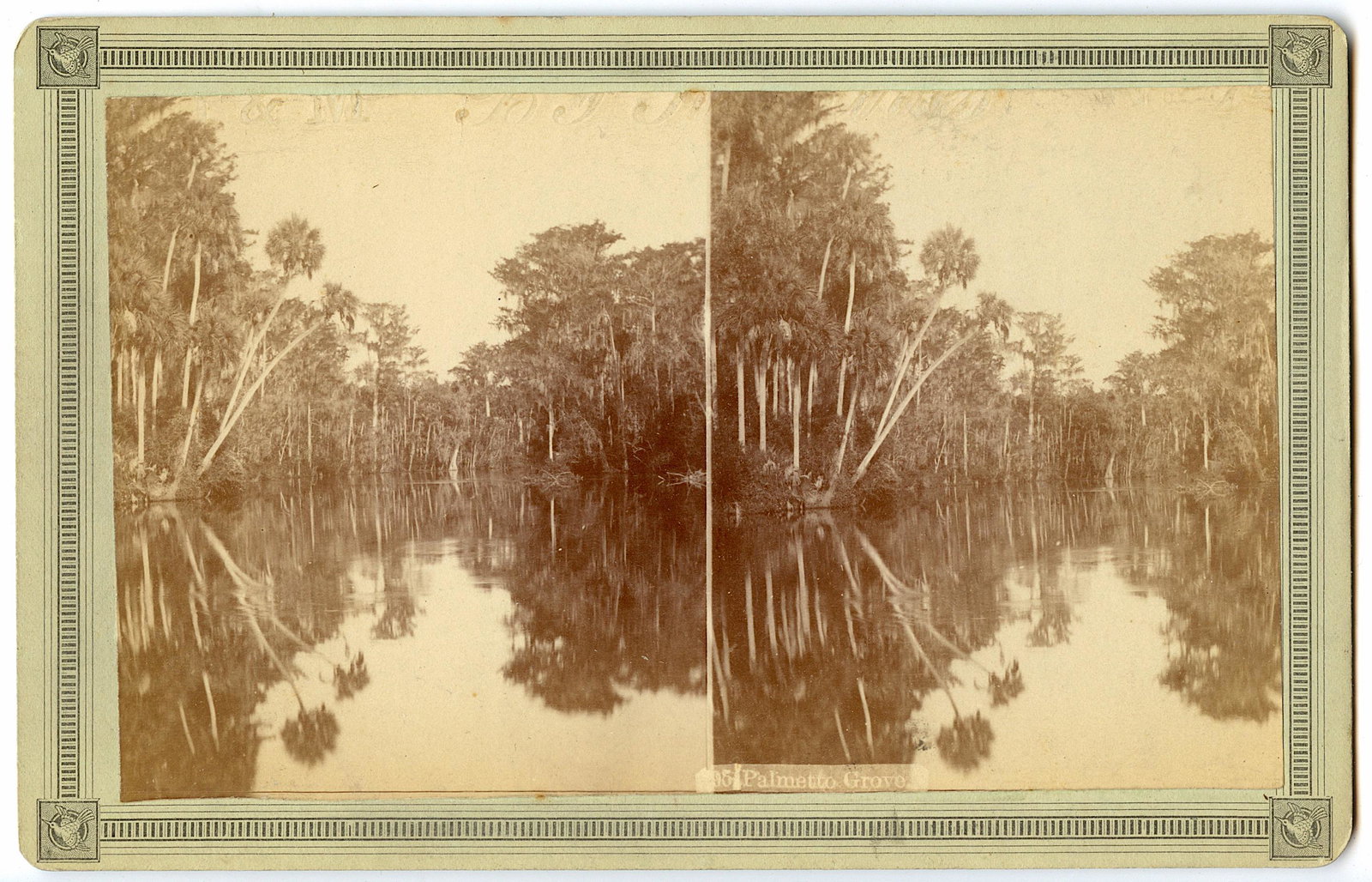 Antique Real Photo Stereoview Palatka, Florida: This stereoviews is original from the epoch . The stereoviews we are offering come mainly from collectors in the U.S.A. and constitute wonderful testimonies of past time that tend to be unique. They h