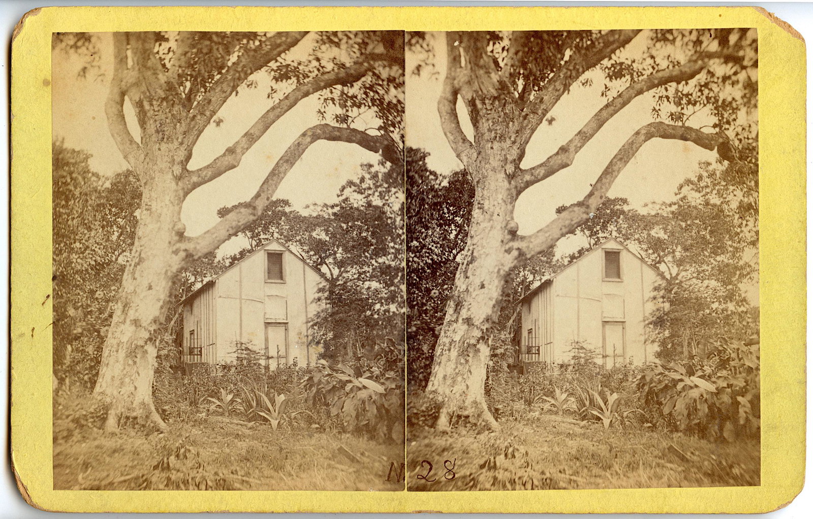 Antique Real Photo Stereoview Farmers in FL: This stereoviews is original from the epoch . The stereoviews we are offering come mainly from collectors in the U.S.A. and constitute wonderful testimonies of past time that tend to be unique. They h