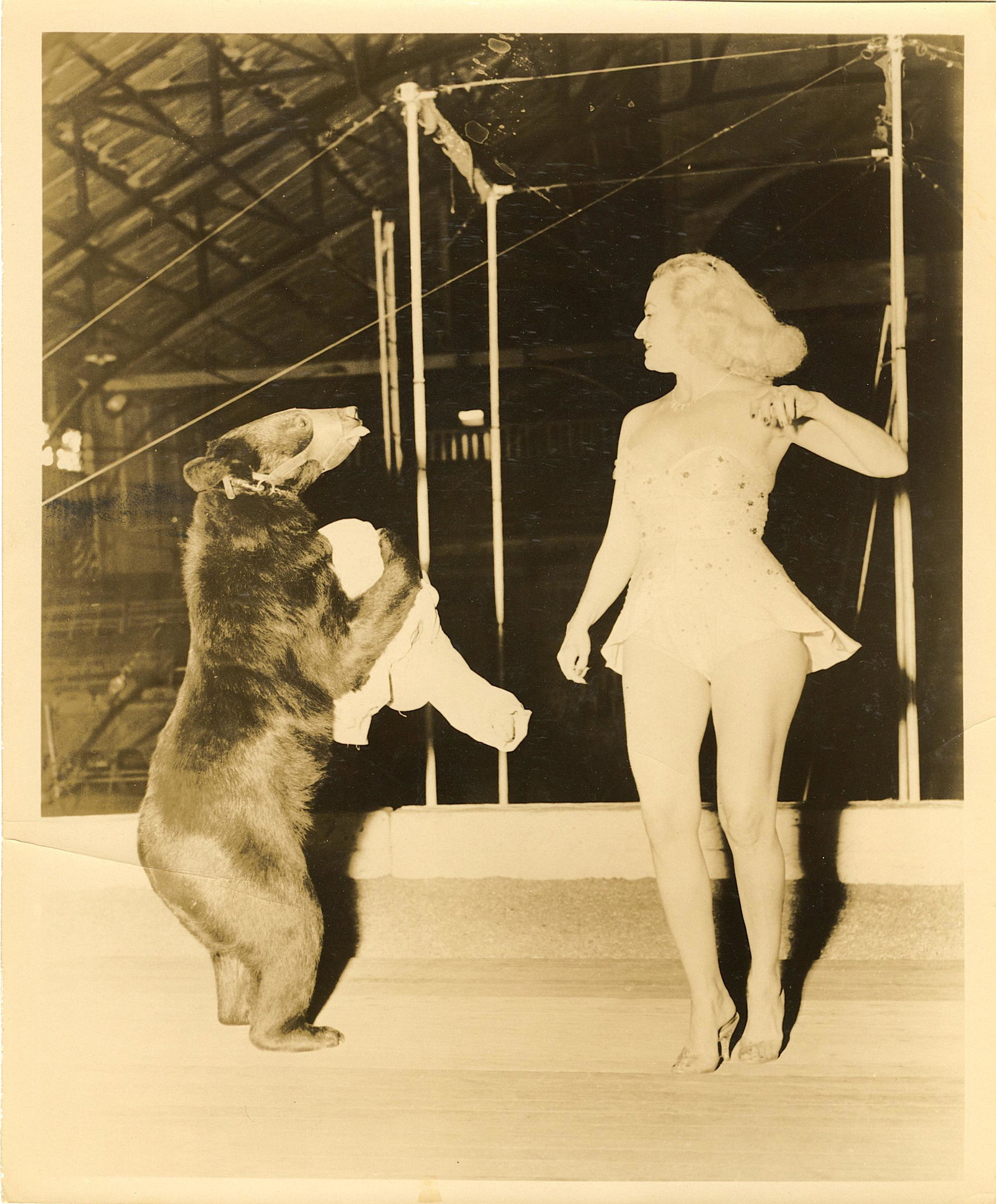 Vintage Real Photo Original Circus Actors Elephants: Provenance: from a collector in Los Angeles, CA. We have included quality images to show their condition. The dimensions are Approx. 10" x 8" (small variances can occur). This lot is located in Boca R