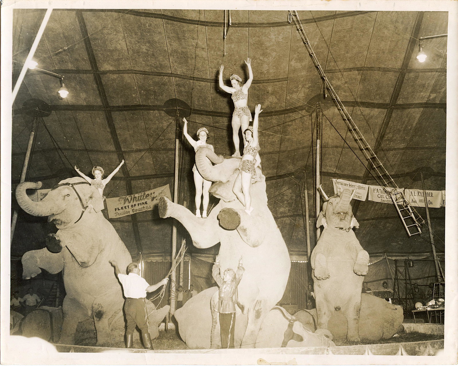 Vintage Real Photo Original Circus Actors Elephants: Provenance: from a collector in Los Angeles, CA. We have included quality images to show their condition. The dimensions are Approx. 10" x 8" (small variances can occur). This lot is located in Boca R