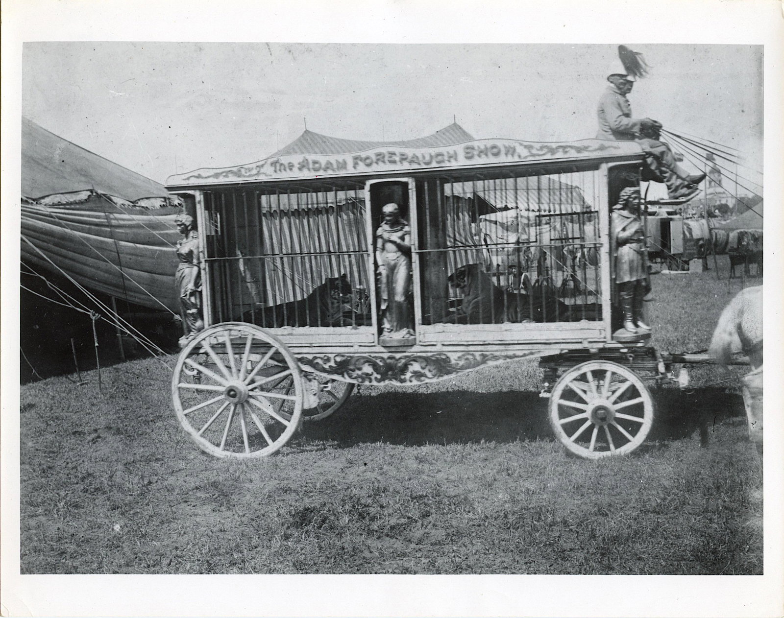 Vintage Real Photo Original Circus Actors Elephants: Provenance: from a collector in Los Angeles, CA. We have included quality images to show their condition. The dimensions are Approx. 10" x 8" (small variances can occur). This lot is located in Boca R