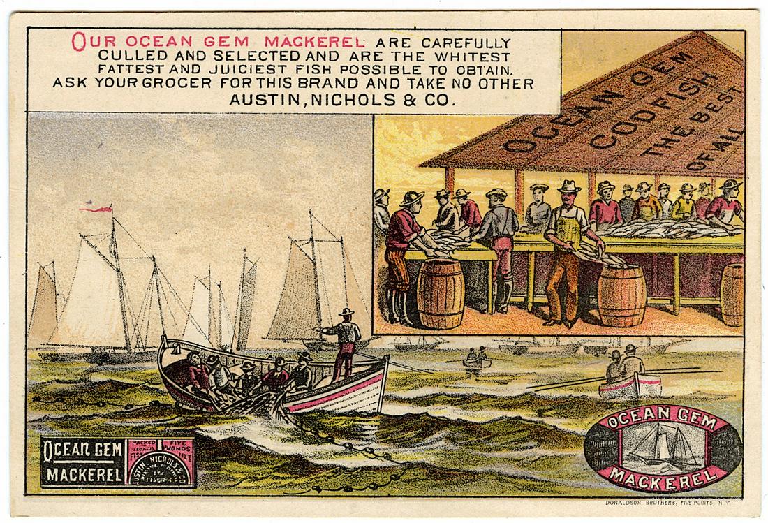 Scarce Vintage Ephemera Scarce Victorian Tradecard: We have included quality images to show their condition. The average dimensions of a tradecard are approximately 3 1/2 inch x 5 1/2 inch or 9 cm x 14 cm (small variance can occur) This lot is located 