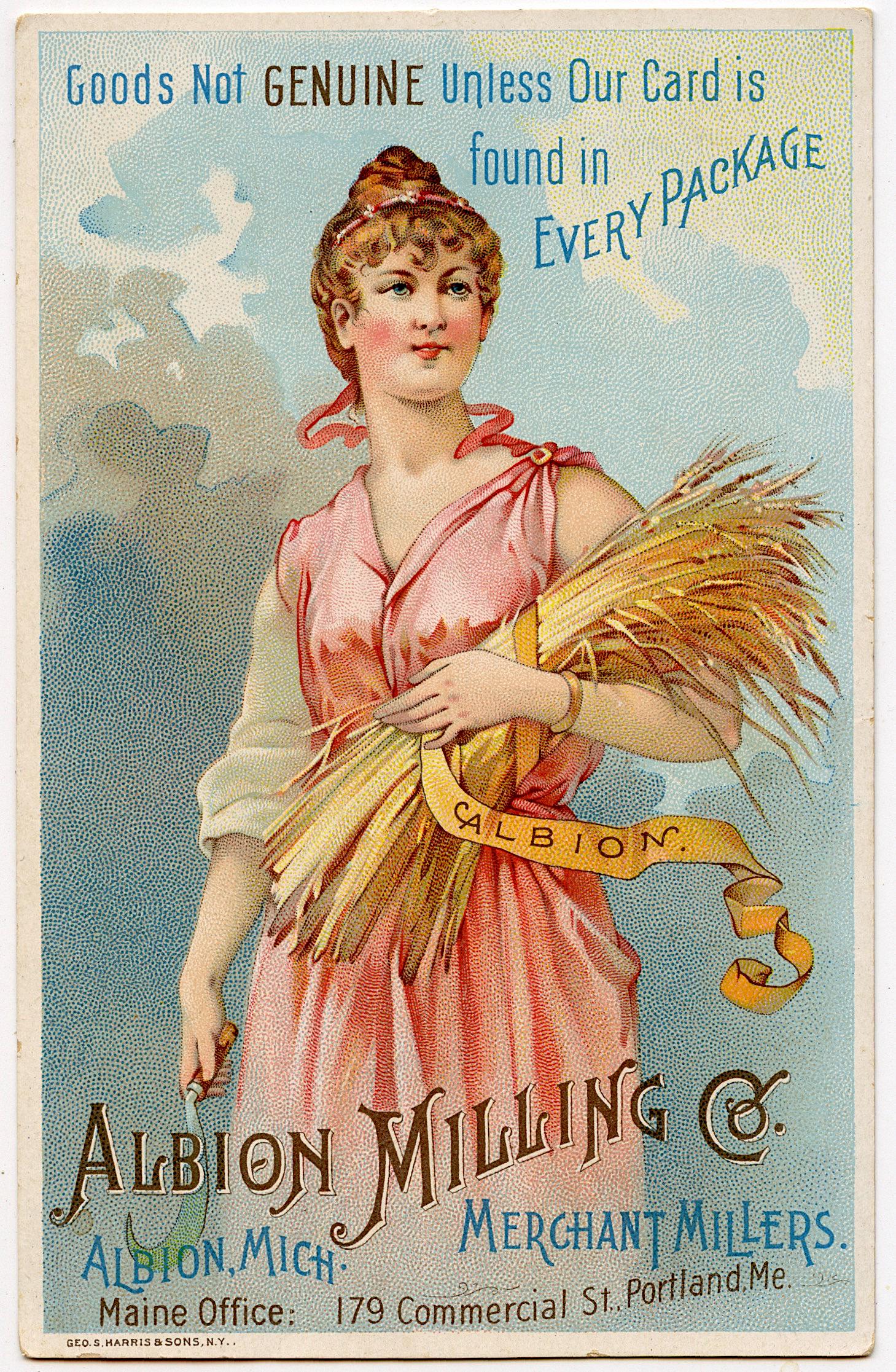 Scarce Vintage Ephemera Scarce Victorian Tradecard: We have included quality images to show their condition. The average dimensions of a tradecard are approximately 3 1/2 inch x 5 1/2 inch or 9 cm x 14 cm (small variance can occur) This lot is located 