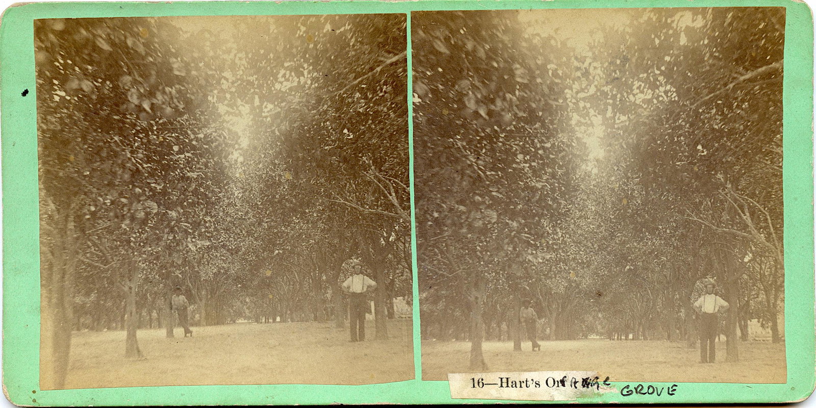 Antique Real Photo Stereoview Jacksonville, FL: This stereoviews is original from the epoch . The stereoviews we are offering come mainly from collectors in the U.S.A. and constitute wonderful testimonies of past time that tend to be unique. They h