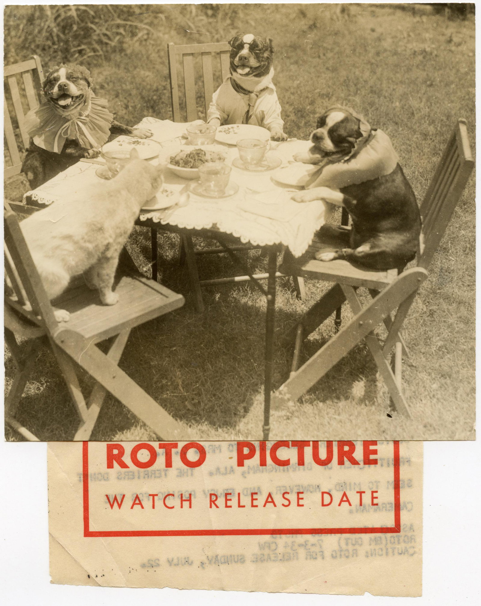 Vintage 1934 Photo Dogs Boston Terriers on Table: The dimensions are Approx. 7"x 7" (small variances can occur). ABOUT SHIPPING: This lot is located in Boca Raton, Fl and its shipment will be made directly by Artelisted. Shipping insurance is the res