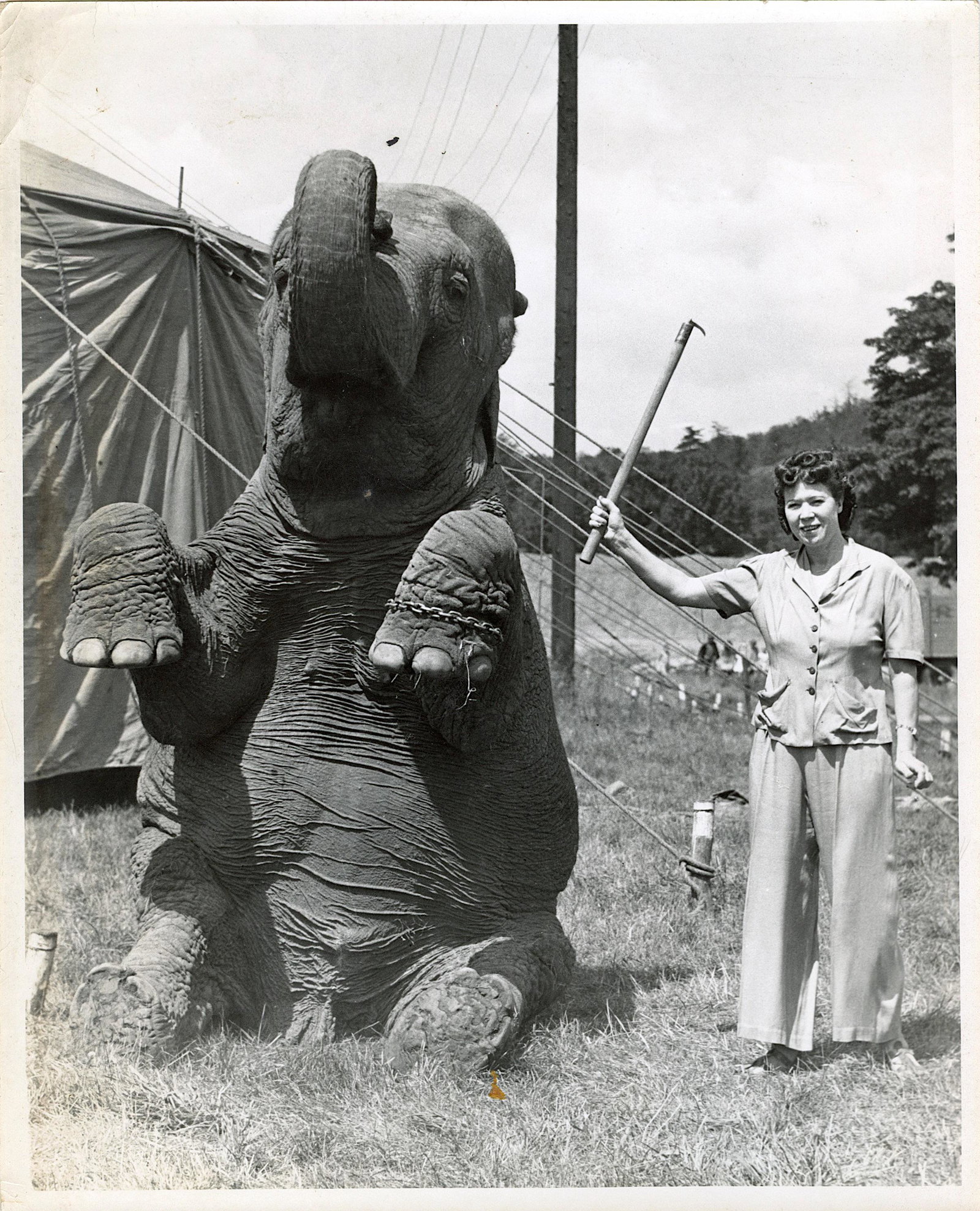 Vintage Authentic Photo Circus Actors Elephants: Provenance: from a collector in Los Angeles, CA. We have included quality images to show their condition. The dimensions are Approx. 10" x 8" (small variances can occur). This lot is located in Boca R