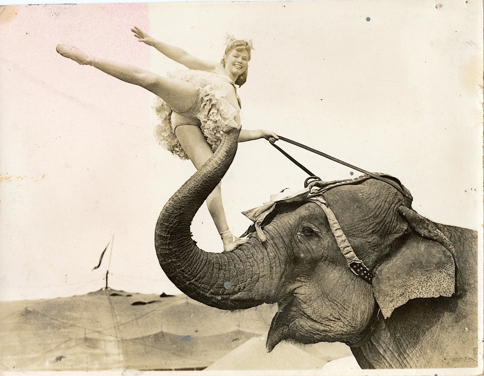 Vintage Authentic Photo Circus Actors Elephants: Provenance: from a collector in Los Angeles, CA. We have included quality images to show their condition. The dimensions are Approx. 10" x 8" (small variances can occur). This lot is located in Boca R