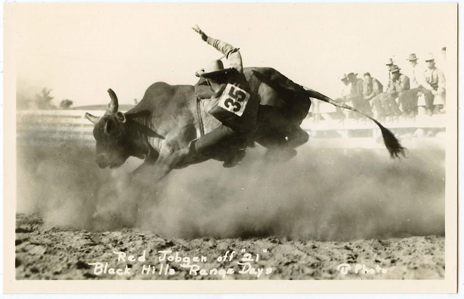 Antique Old Scarce Real Photo Postcard Cowboy Riding: Provenance: from a collector in Los Angeles, CA. The dimensions of an antique/vintage postcard are Approx. 5.5"x 3.5" (small variances can occur). ABOUT SHIPPING: This lot is located in Boca Raton, Fl