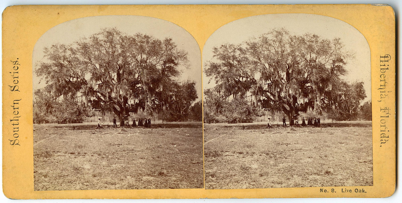 Antique Real Photo Stereoview Hibernia, FL: This stereoviews is original from the epoch . The stereoviews we are offering come mainly from collectors in the U.S.A. and constitute wonderful testimonies of past time that tend to be unique. They h