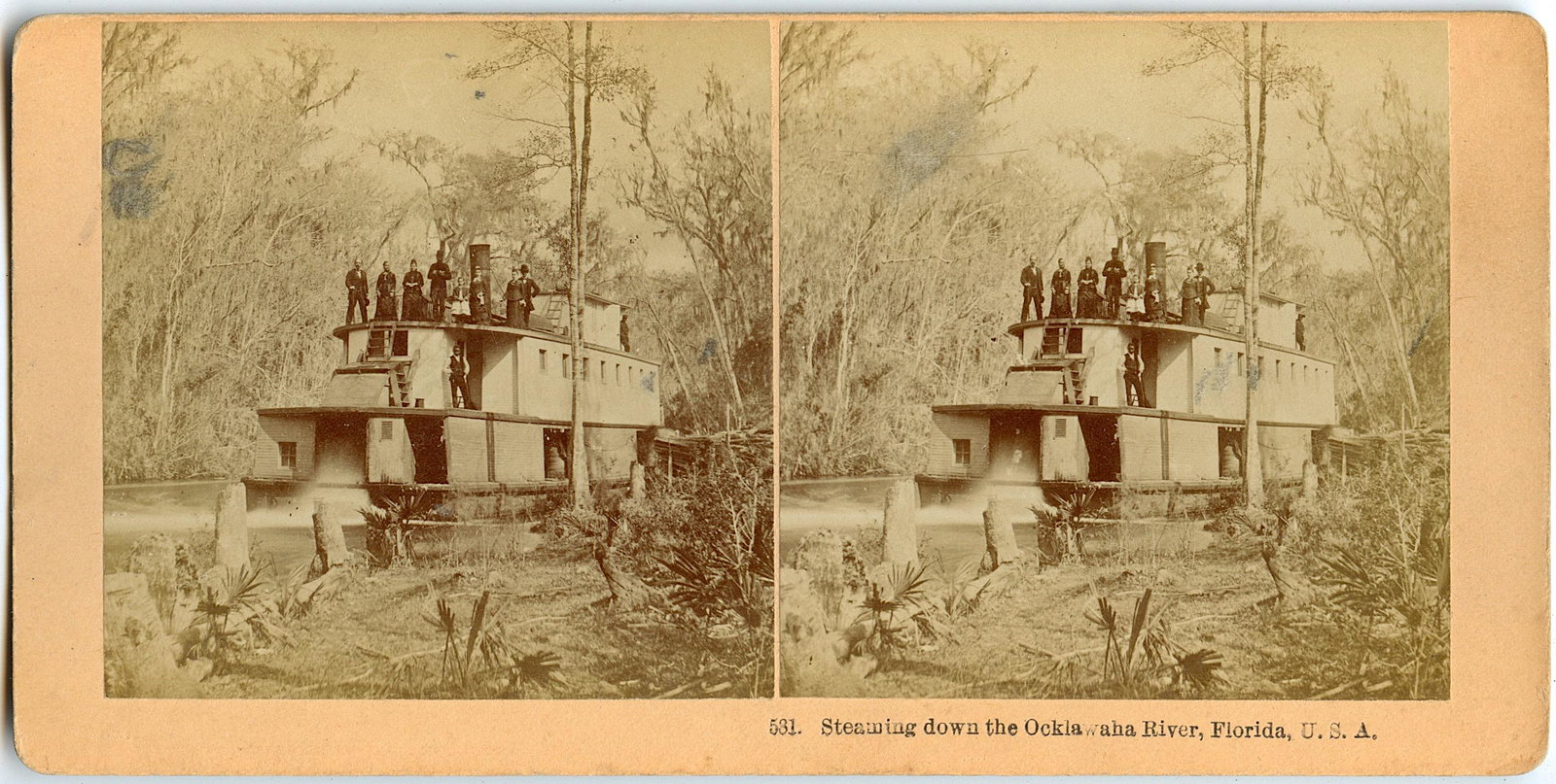 Antique Real Photo Stereoview Steaming Ocklawaha River, FL: This stereoviews is original from the epoch . The stereoviews we are offering come mainly from collectors in the U.S.A. and constitute wonderful testimonies of past time that tend to be unique. They h