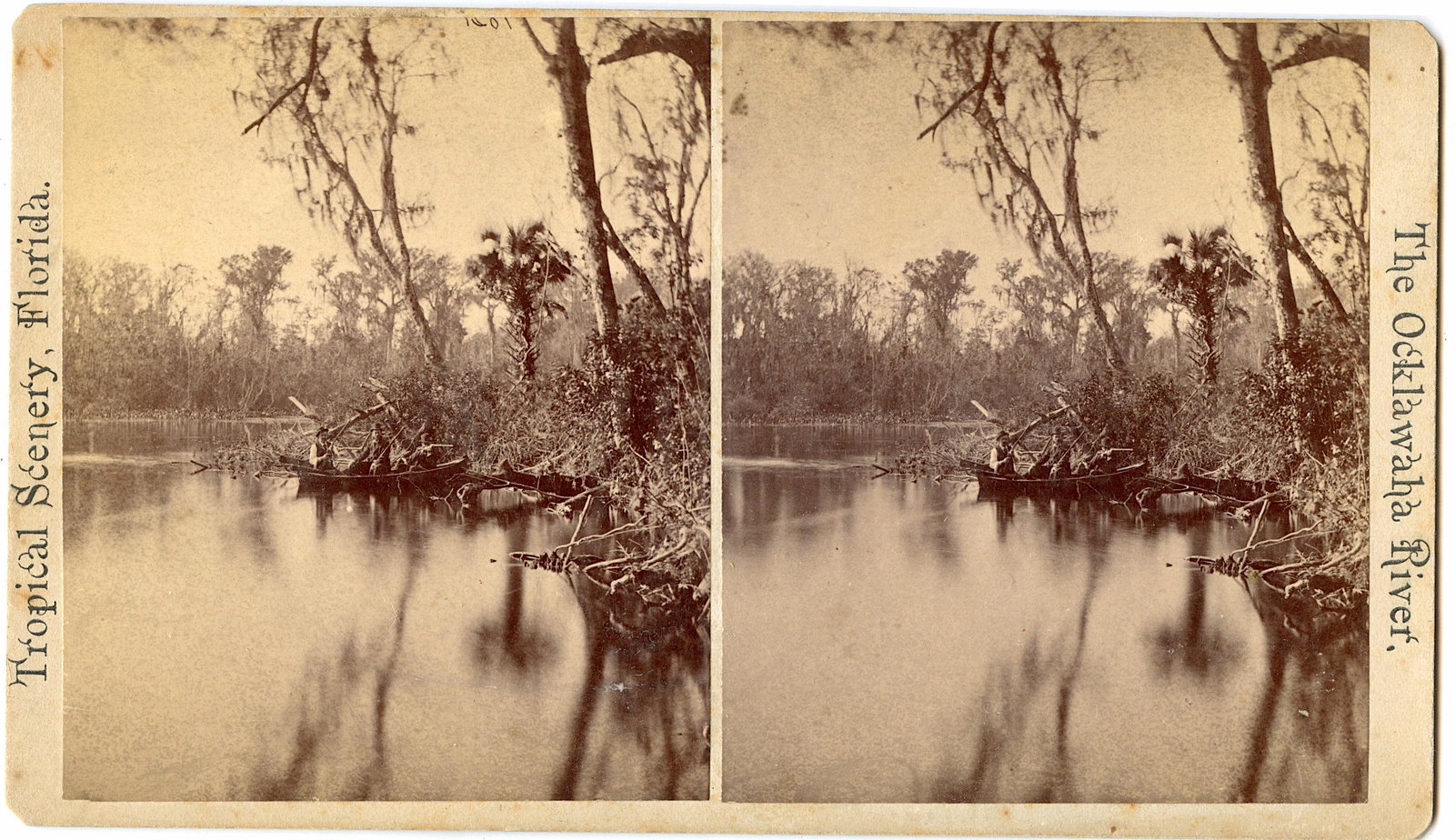 Antique Real Photo Stereoview Hunting Ocklawaha River, FL: This stereoviews is original from the epoch . The stereoviews we are offering come mainly from collectors in the U.S.A. and constitute wonderful testimonies of past time that tend to be unique. They h