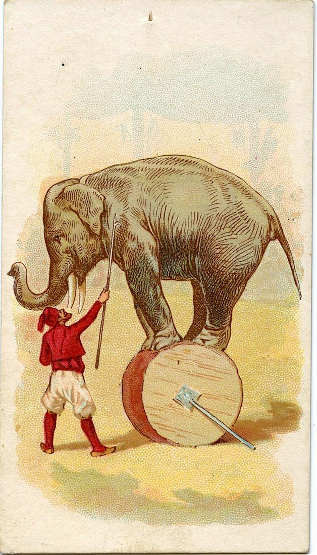 Scarce Vintage Ephemera Tradecard Rare Victorian: We have included quality images to show their condition. The average dimensions of a tradecard are approximately 3 1/2 inch x 5 1/2 inch or 9 cm x 14 cm (small variance can occur) This lot is located 