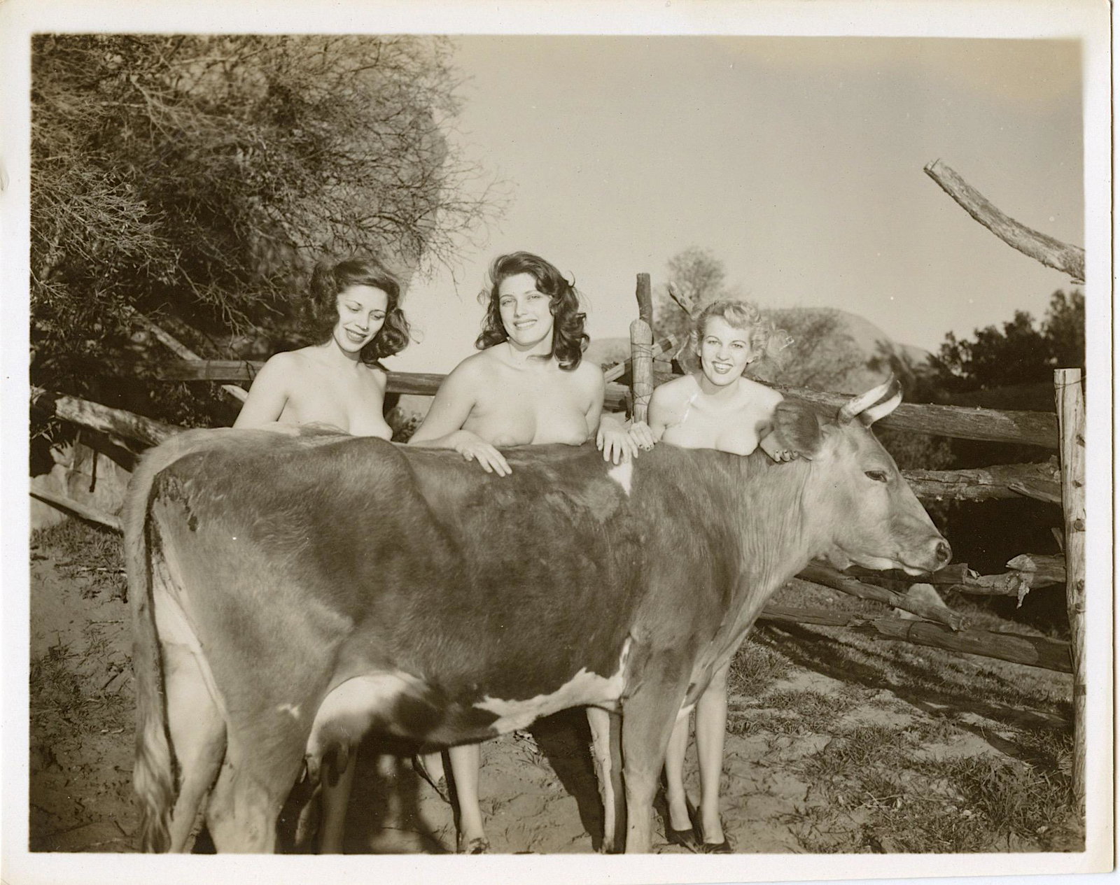 Original Vintage Pin Up Photograph from 1950s 4" x 5": This lot is coming from Bunny Yeager's estate/archives. Linnea Eleanor "Bunny" Yeager (March 13, 1929 - May 24, 2014) was an American photographer and pin-up model. She met Bettie Page in 1954, and to