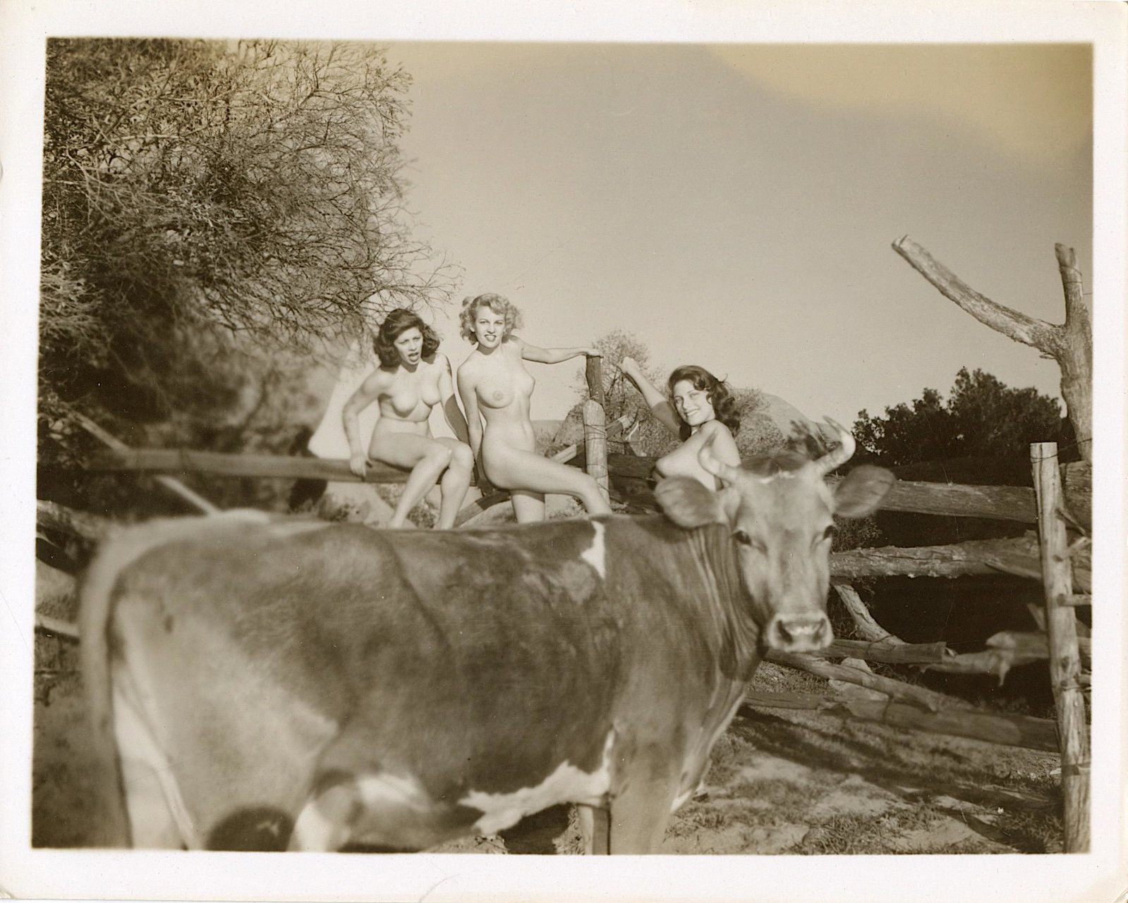 Original Vintage Pin Up Photograph from 1950s 4" x 5": This lot is coming from Bunny Yeager's estate/archives. Linnea Eleanor "Bunny" Yeager (March 13, 1929 - May 24, 2014) was an American photographer and pin-up model. She met Bettie Page in 1954, and to