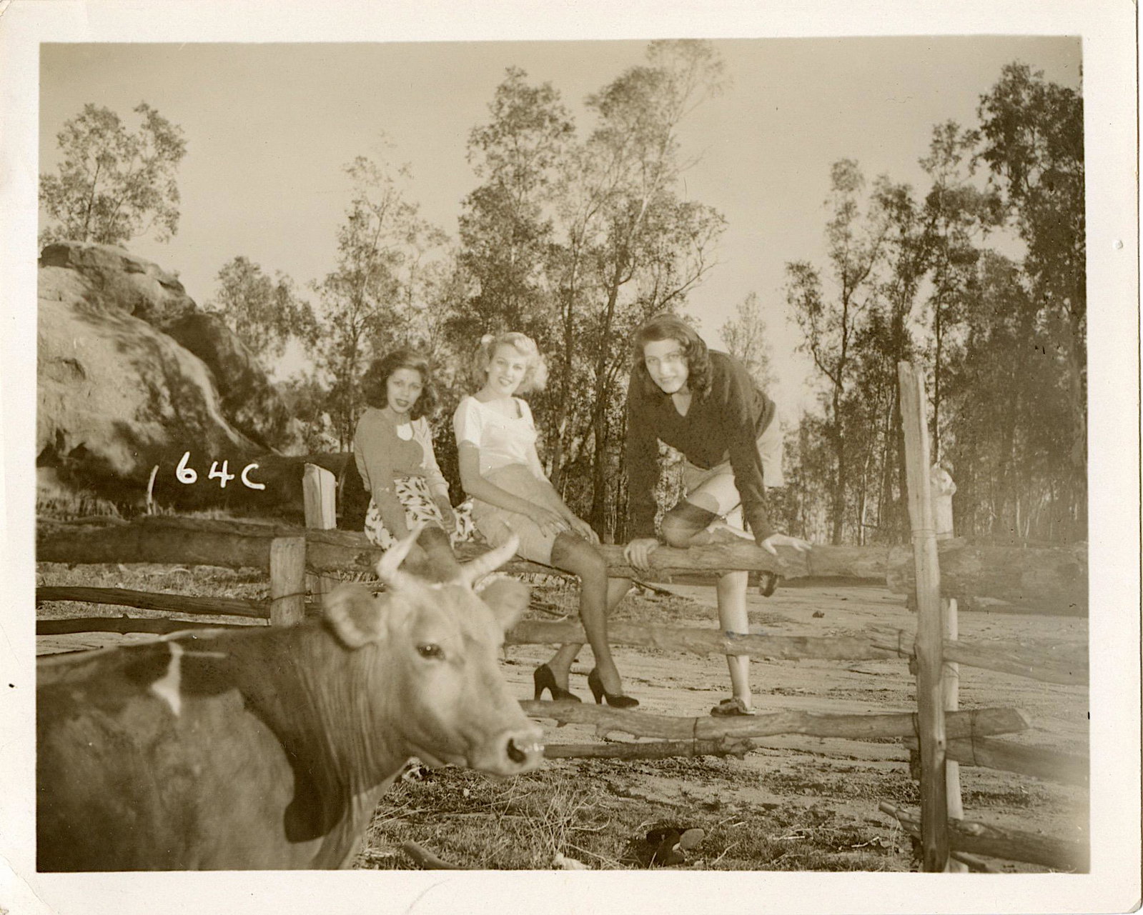 Original Vintage Pin Up Photograph from 1950s 4" x 5": This lot is coming from Bunny Yeager's estate/archives. Linnea Eleanor "Bunny" Yeager (March 13, 1929 - May 24, 2014) was an American photographer and pin-up model. She met Bettie Page in 1954, and to