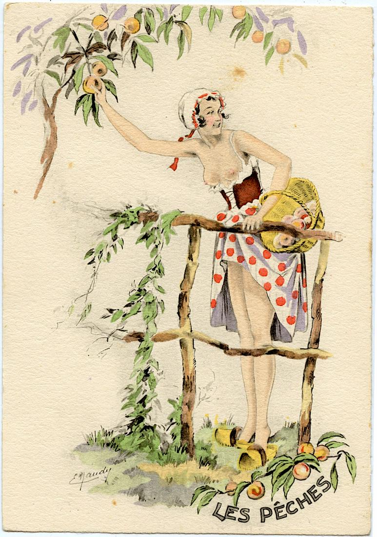 Vintage Colored Postcard Sexy Woman Collecting Fruits (1 of 2)