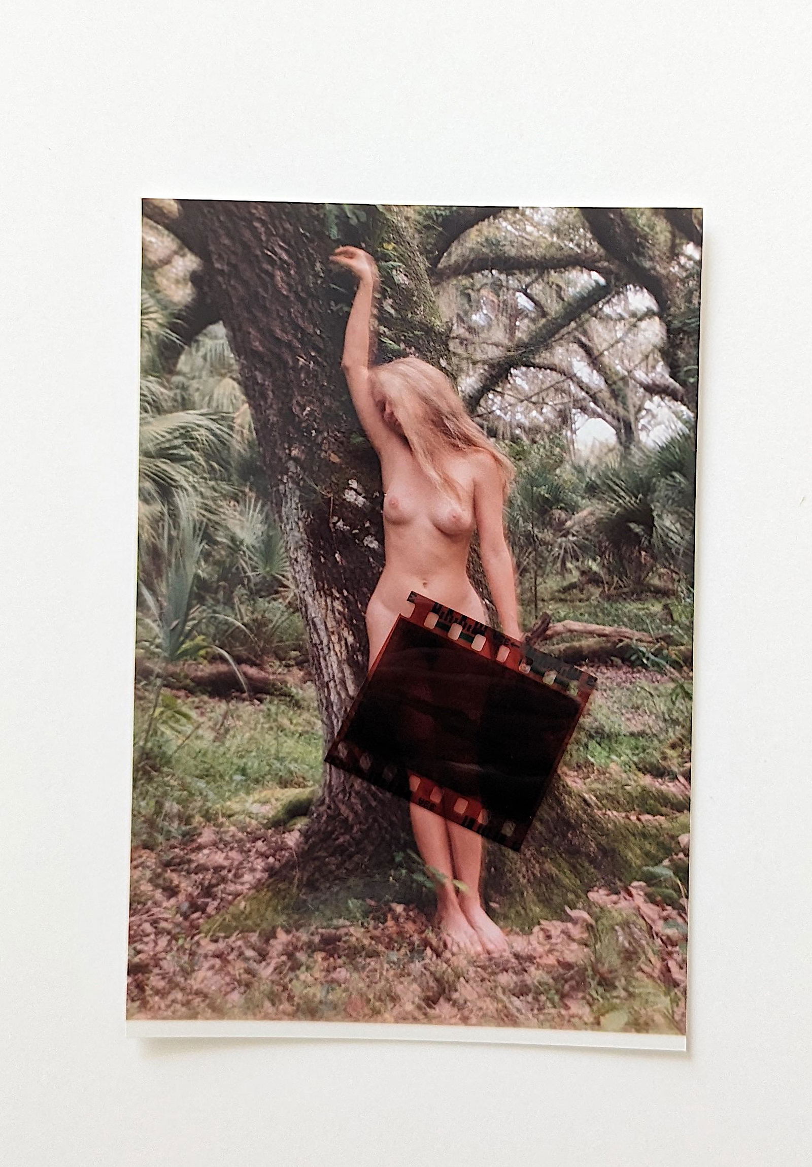 Negative with Photograph Pin Up Model by BUNNY YEAGER (1 of 2)