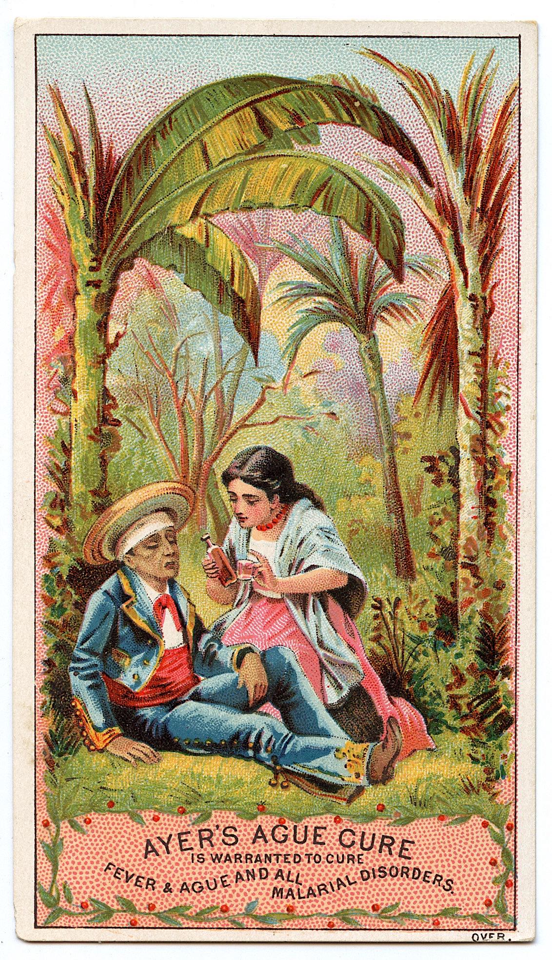 Scarce Vintage Ephemera Victorian Tradecard: We have included quality images to show their condition. The average dimensions of a tradecard are approximately 3 1/2 inch x 5 1/2 inch or 9 cm x 14 cm (small variance can occur) This lot is located 