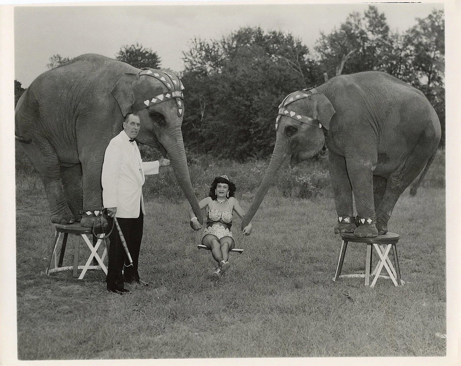 Vintage Real Photo Original Circus Actors Elephants: Provenance: from a collector in Los Angeles, CA. We have included quality images to show their condition. The dimensions are Approx. 10" x 8" (small variances can occur). This lot is located in Boca R