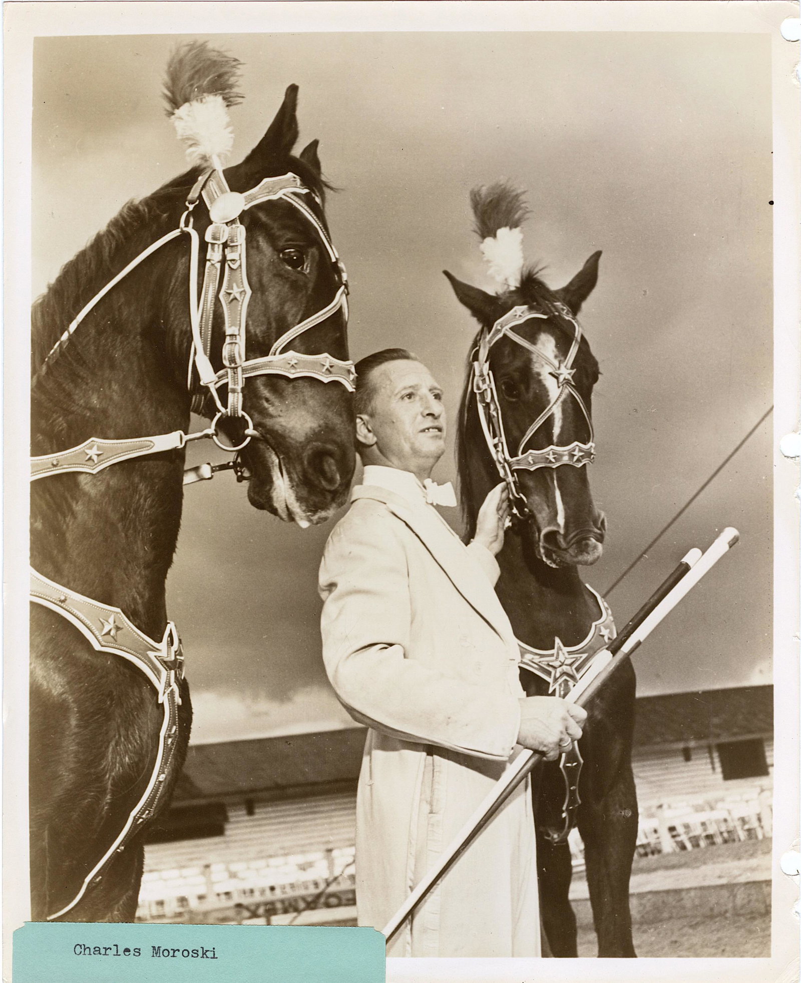 Vintage Real Photo Original Circus Actors Elephants: Provenance: from a collector in Los Angeles, CA. We have included quality images to show their condition. The dimensions are Approx. 10" x 8" (small variances can occur). This lot is located in Boca R