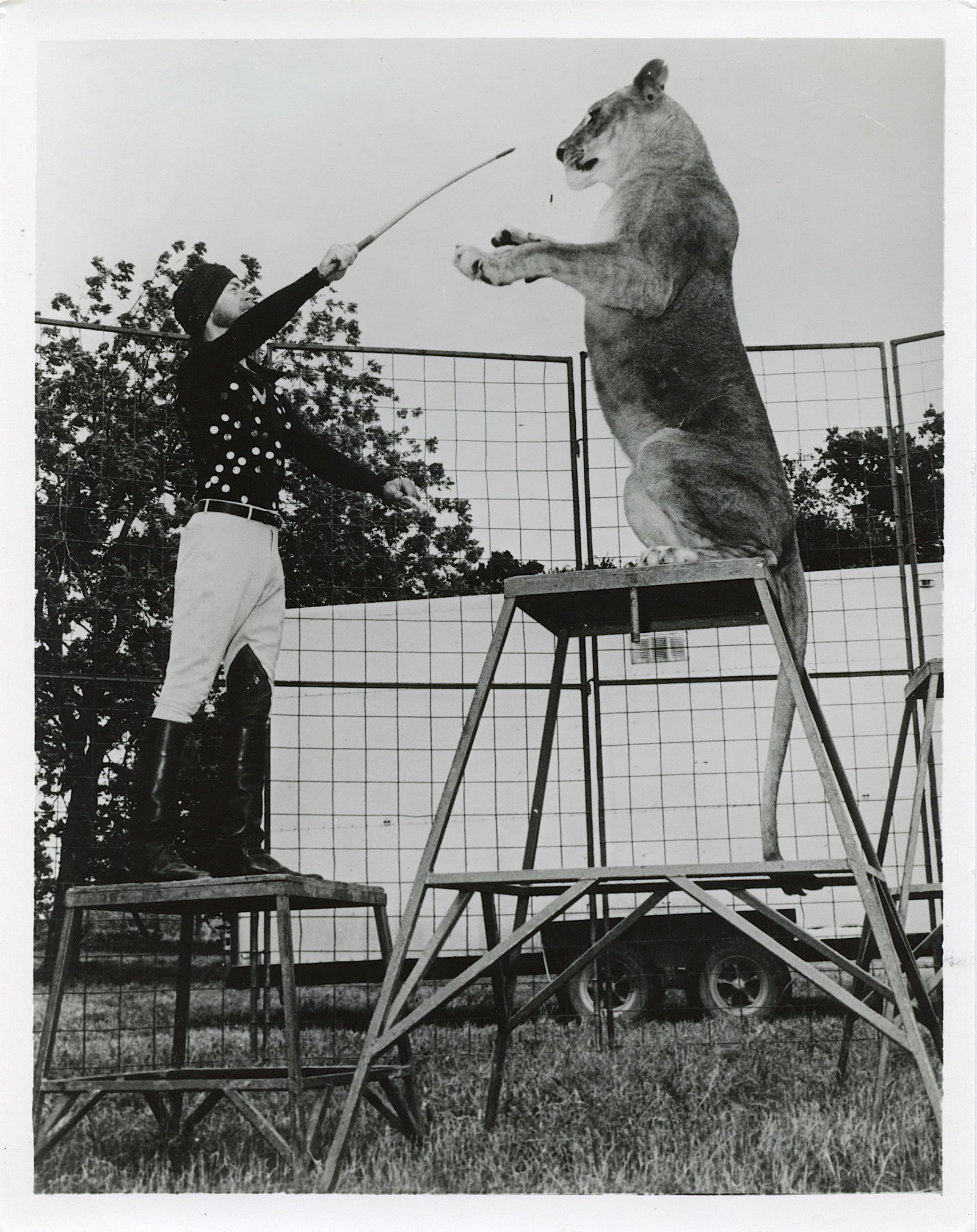 Vintage Real Photo Original Circus Actors Elephants: Provenance: from a collector in Los Angeles, CA. We have included quality images to show their condition. The dimensions are Approx. 10" x 8" (small variances can occur). This lot is located in Boca R