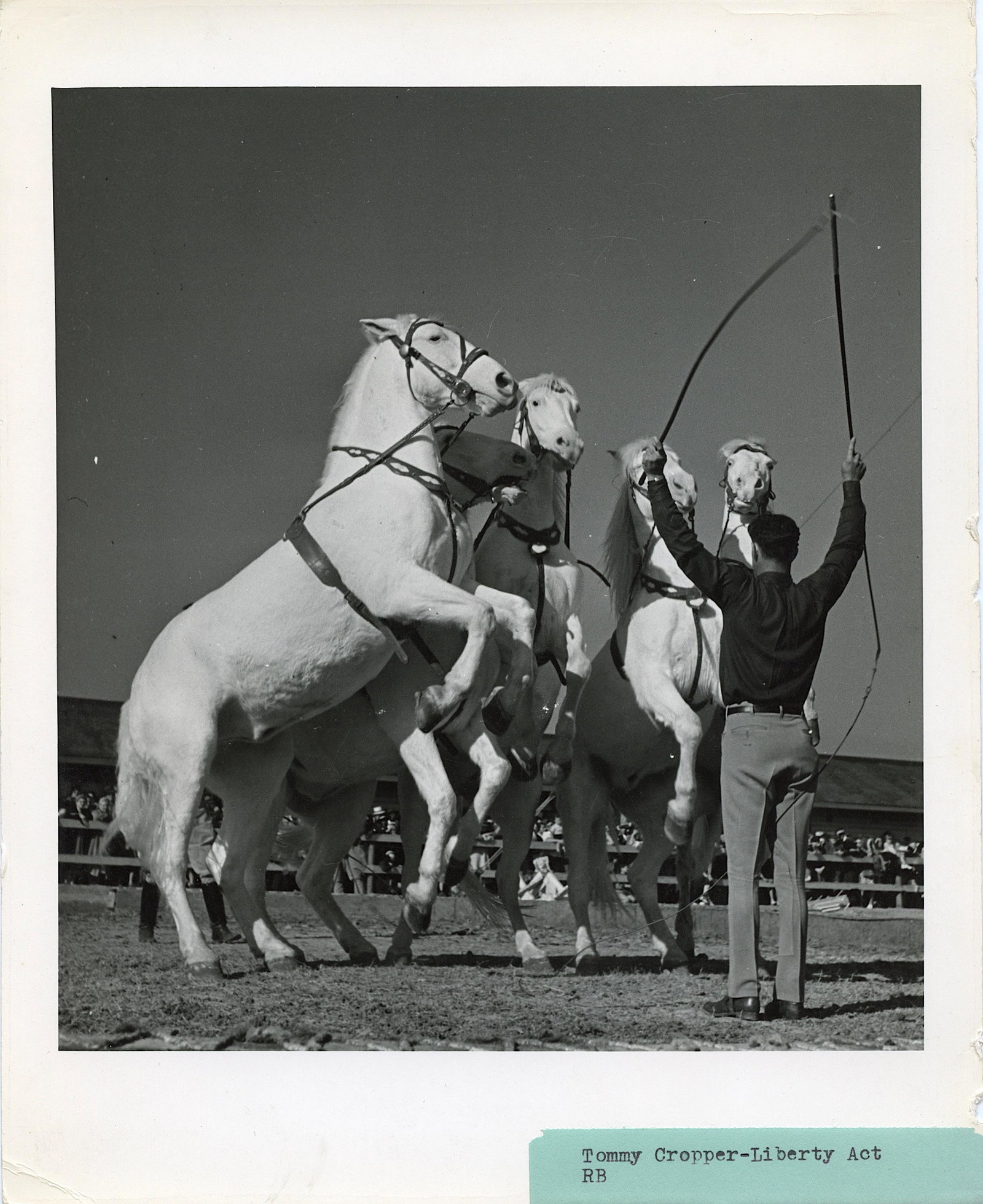 Vintage Real Photo Original Circus Actors Elephants: Provenance: from a collector in Los Angeles, CA. We have included quality images to show their condition. The dimensions are Approx. 10" x 8" (small variances can occur). This lot is located in Boca R