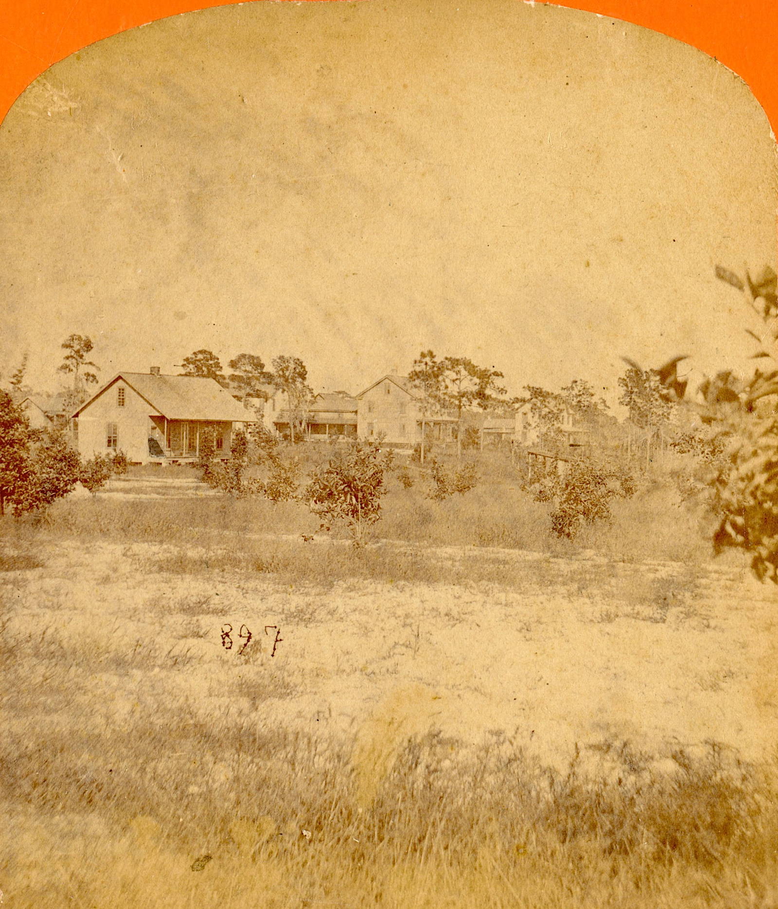 Real Photo Original Stereoview Jacksonville, Fl Auction