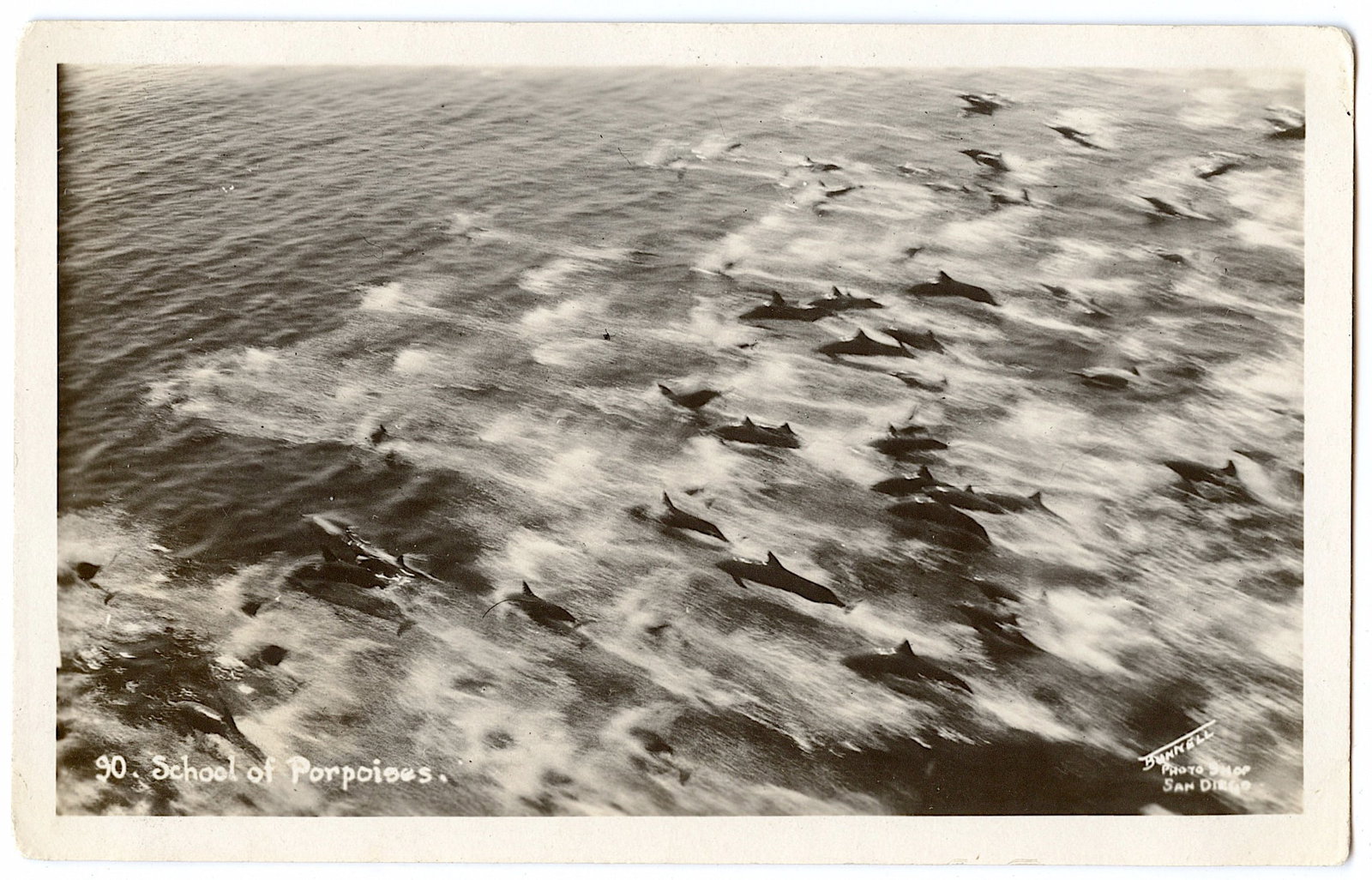 Vintage Original Rare Real Photo US Marines: The provenance of this lot is from the estate of a Professional American photographer and collector in LA, CA. The dimensions of an antique/vintage postcard are Approx. 5.5"x 3.5" (small variances can