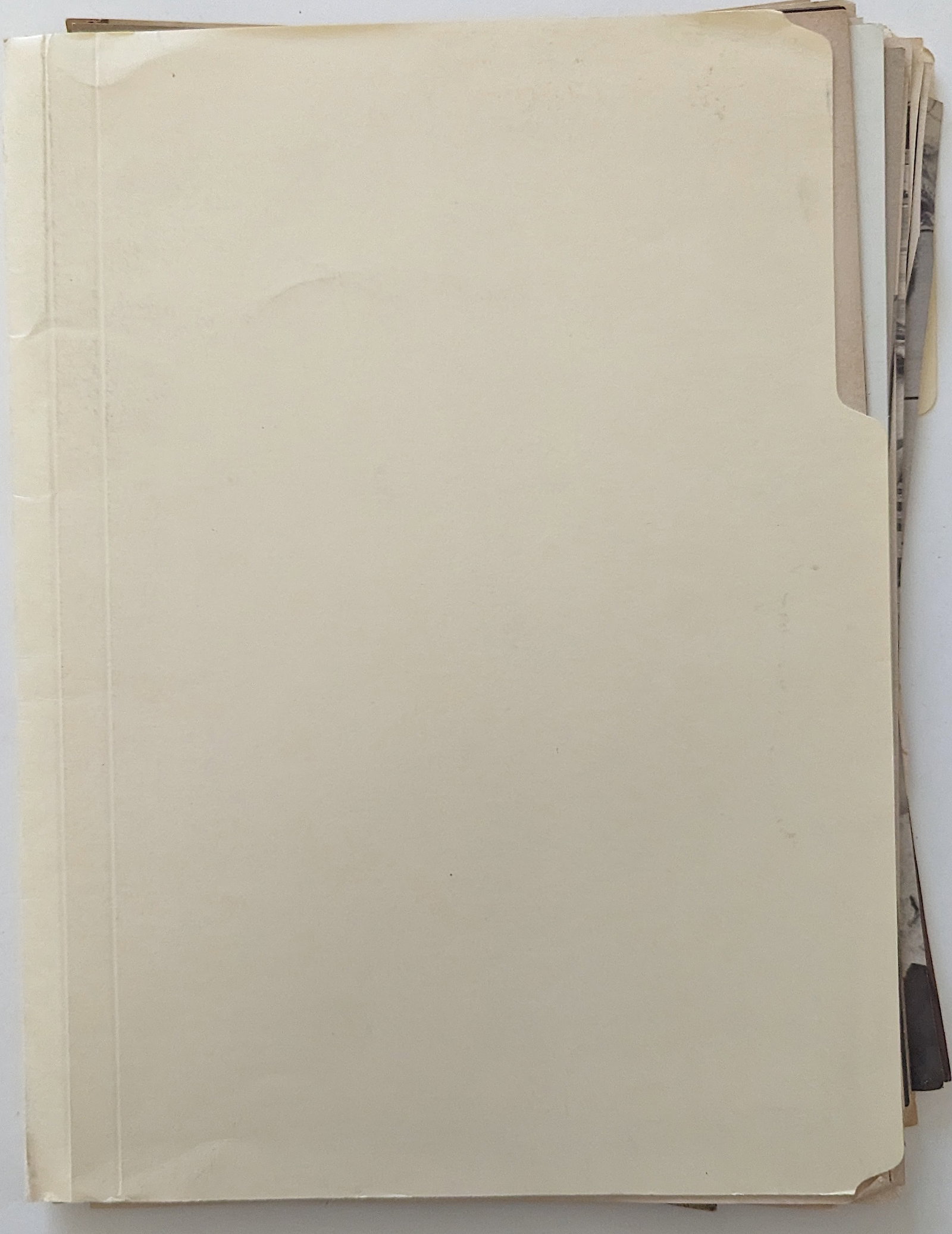 Vintage Rare Set Selected Pages Nudism Magazines: This lot is coming from a collector in RI. This lot is located in Boca Raton, Fl and its shipment will be made directly by Artelisted. Shipping insurance is the responsibility of the buyer. Ask us if 