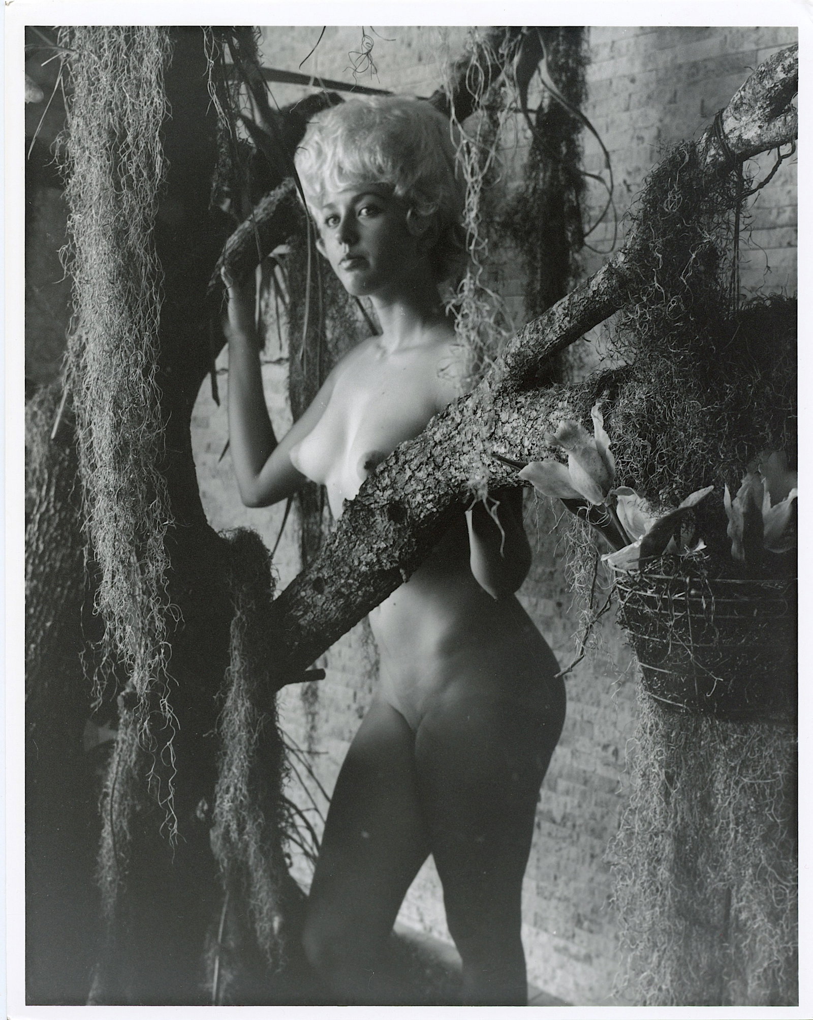 Original Photo Pin Up Estate BUNNY YEAGER 10 x 8 Inch: Labelled. This lot is coming from Bunny Yeager's estate/archives. Linnea Eleanor "Bunny" Yeager (March 13, 1929 - May 24, 2014) was an American photographer and pin-up model. She met Bettie Page in 19