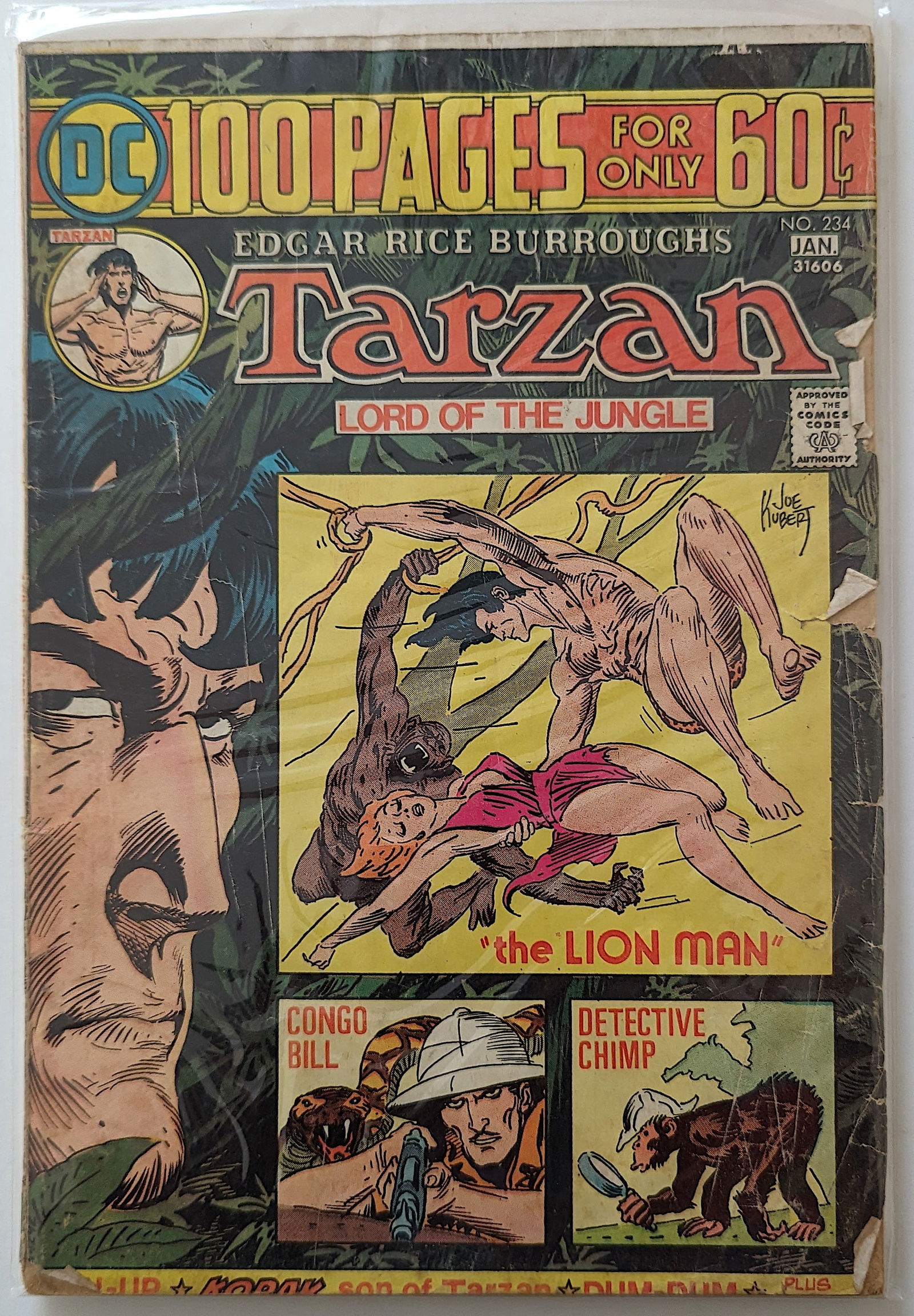 Edgar Rice Burroughs Tarzan of the Apes #234 Vintage DC Comic Book (1 of 1)