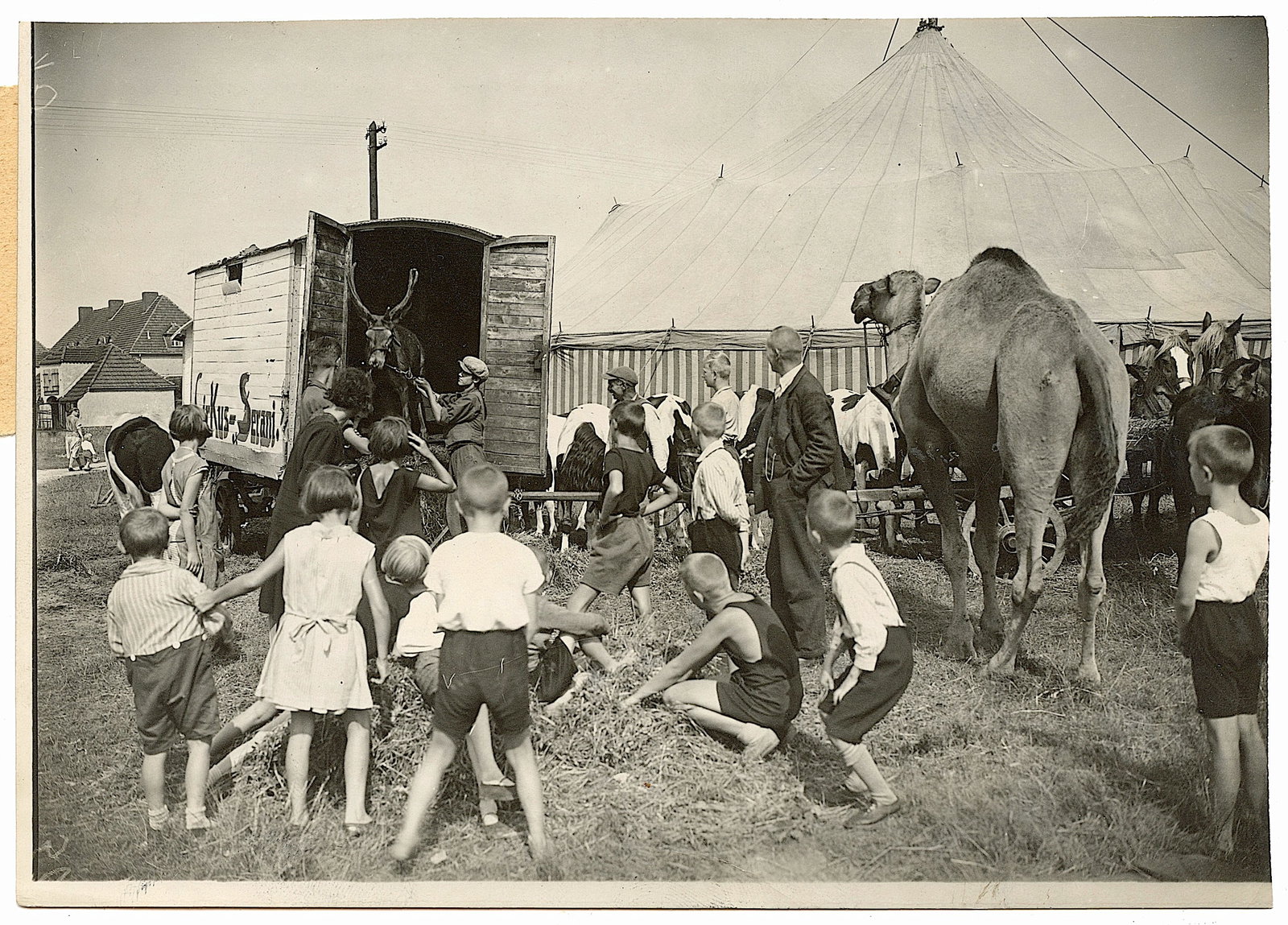 Vintage Original Historical Photo Circus Transportation: This item is coming from the estate of a deceased collector in France. The dimensions are Approx. 5" x 7" (small variances can occur).. This lot is located in Boca Raton, Fl and its shipment will be m