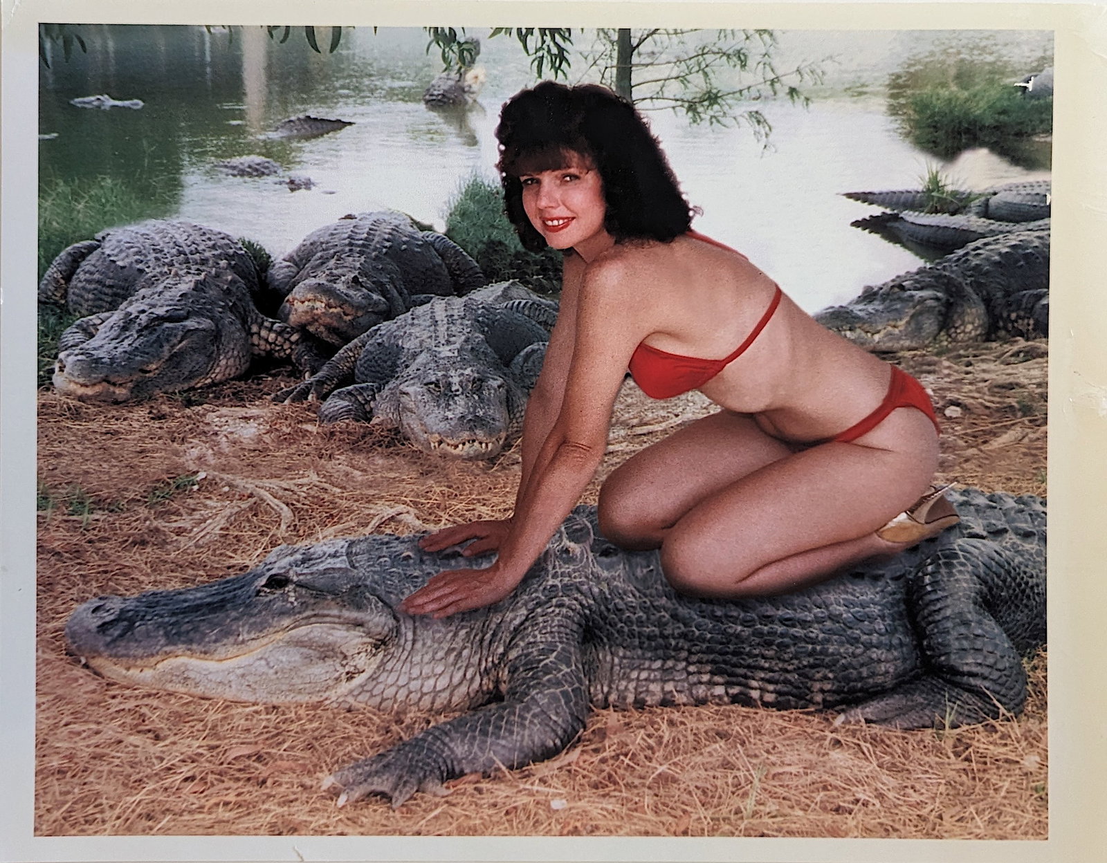 BUNNY YEAGER Rare Original Pin Up Photo 11" x 8.5": This lot is coming from Bunny Yeager's estate/archives. Linnea Eleanor "Bunny" Yeager (March 13, 1929 - May 24, 2014) was an American photographer and pin-up model. She met Bettie Page in 1954, and to